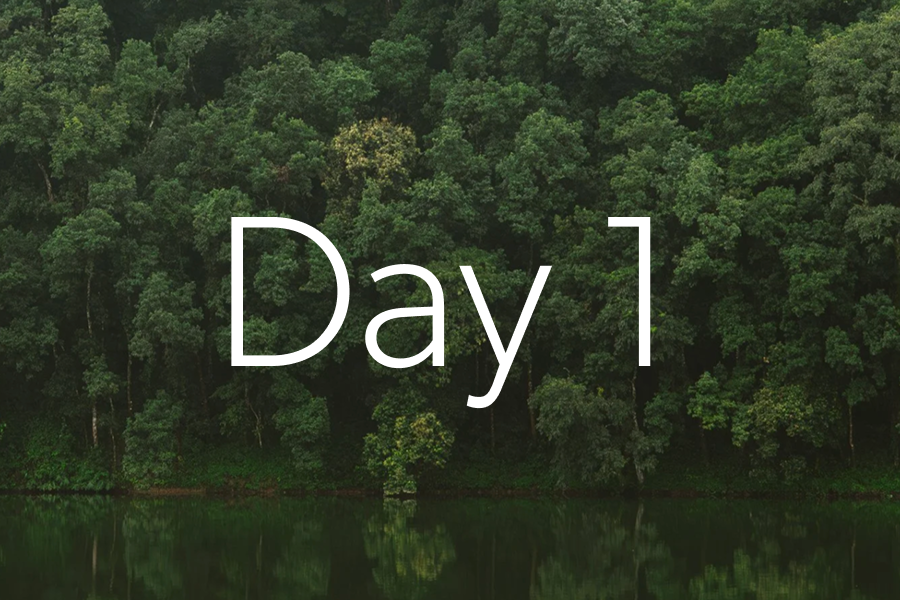 day-1.png