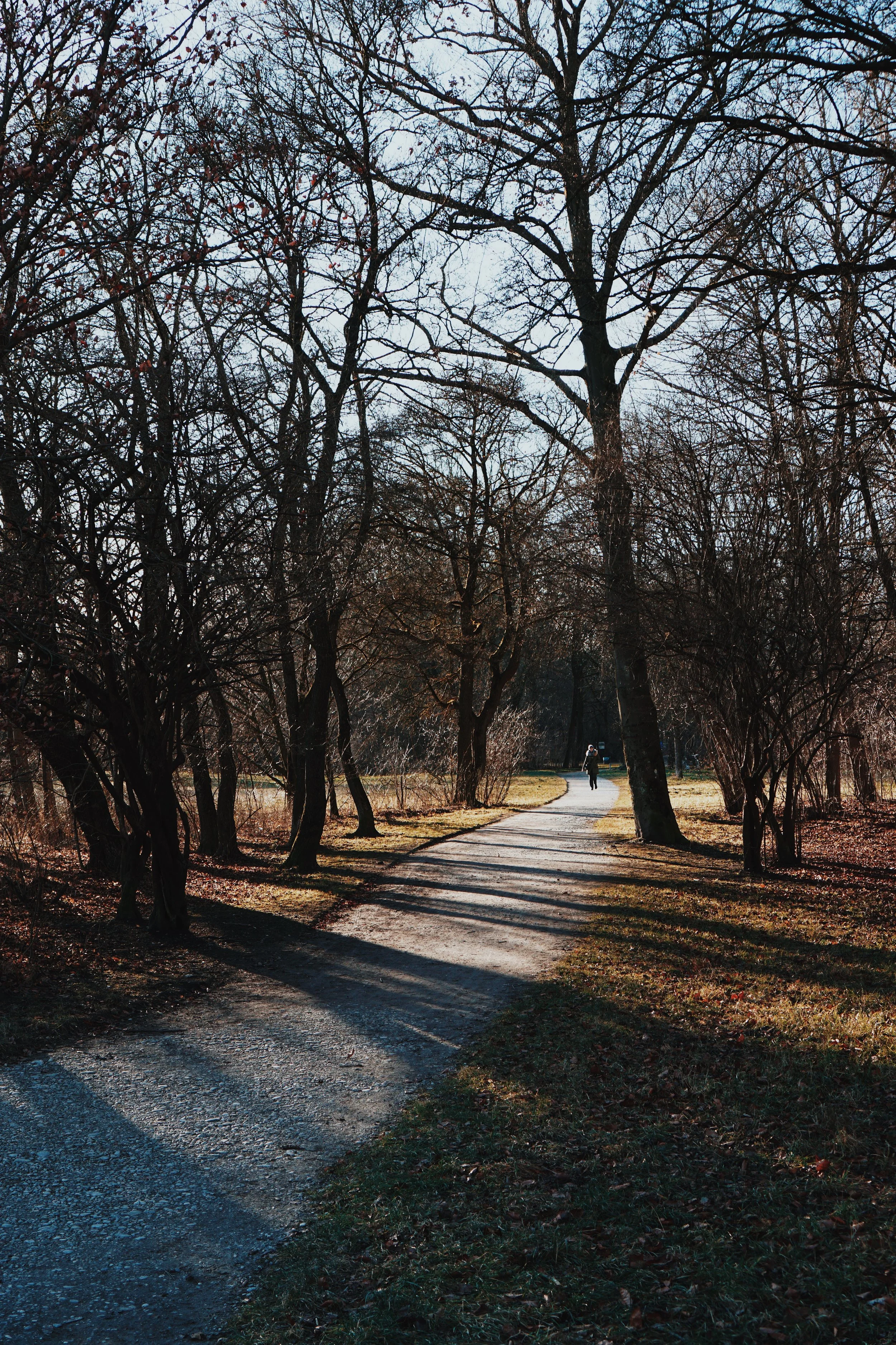 Processed with VSCO with c8 preset