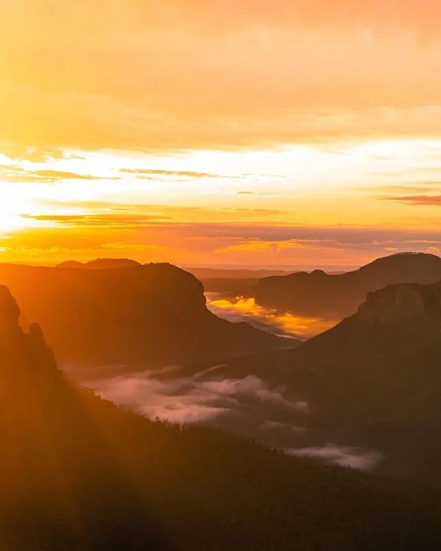 Taking a break from posting photos from New Zealand to appreciate the winter here in Australia.

A little while ago I got a chance to do a sunrise trip to the blue mountains and I was delighted by the beautiful fog floating in between the misty mount