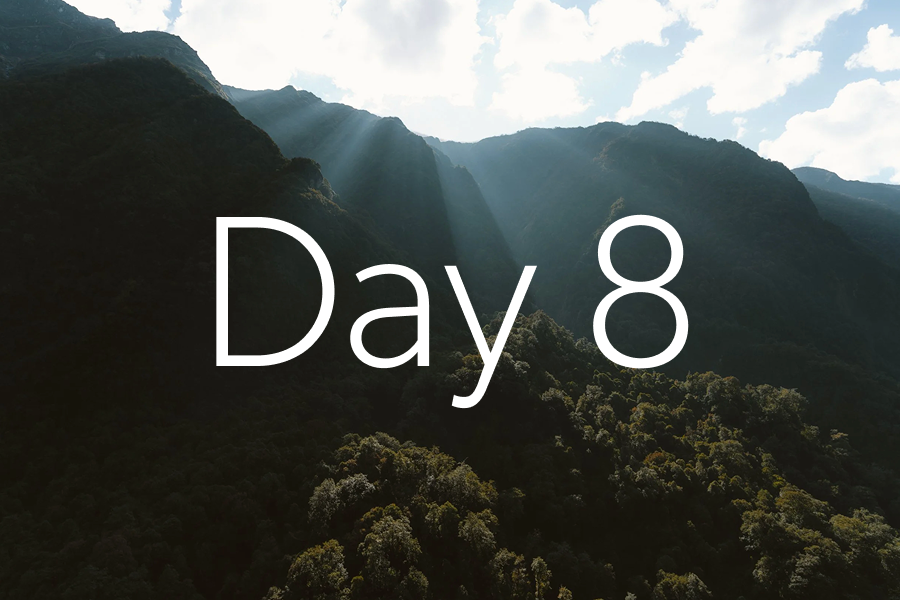day-8.png