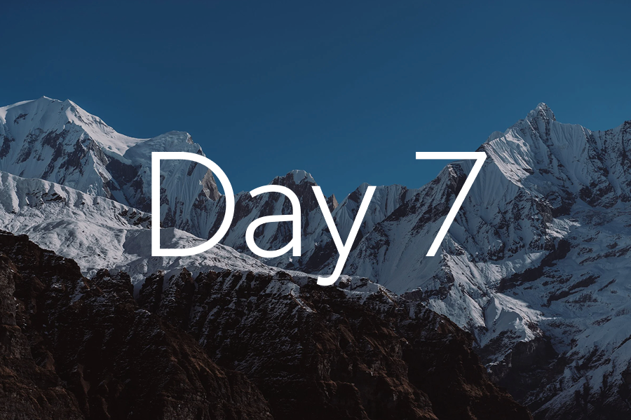 day-7.png