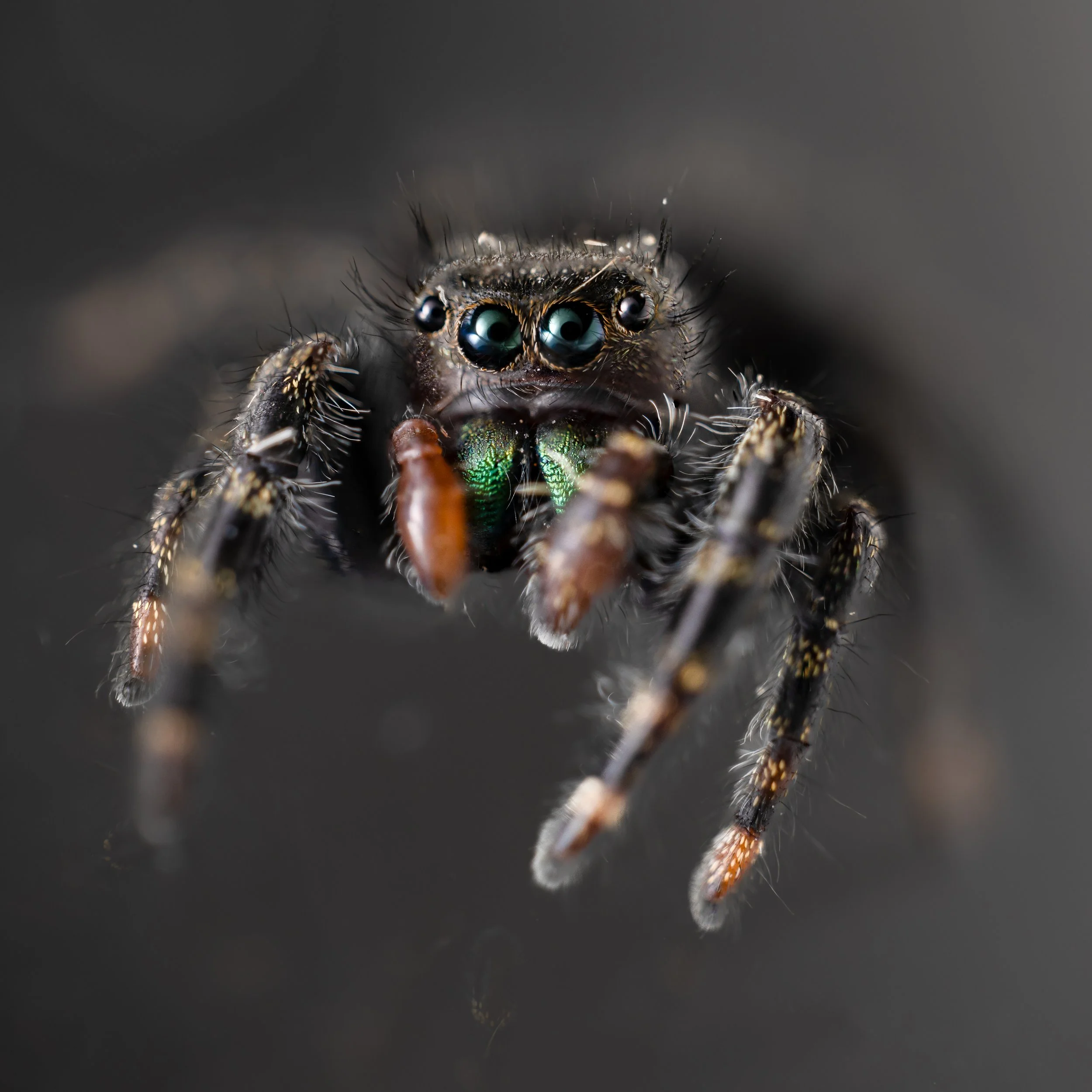jumper on glass.jpg