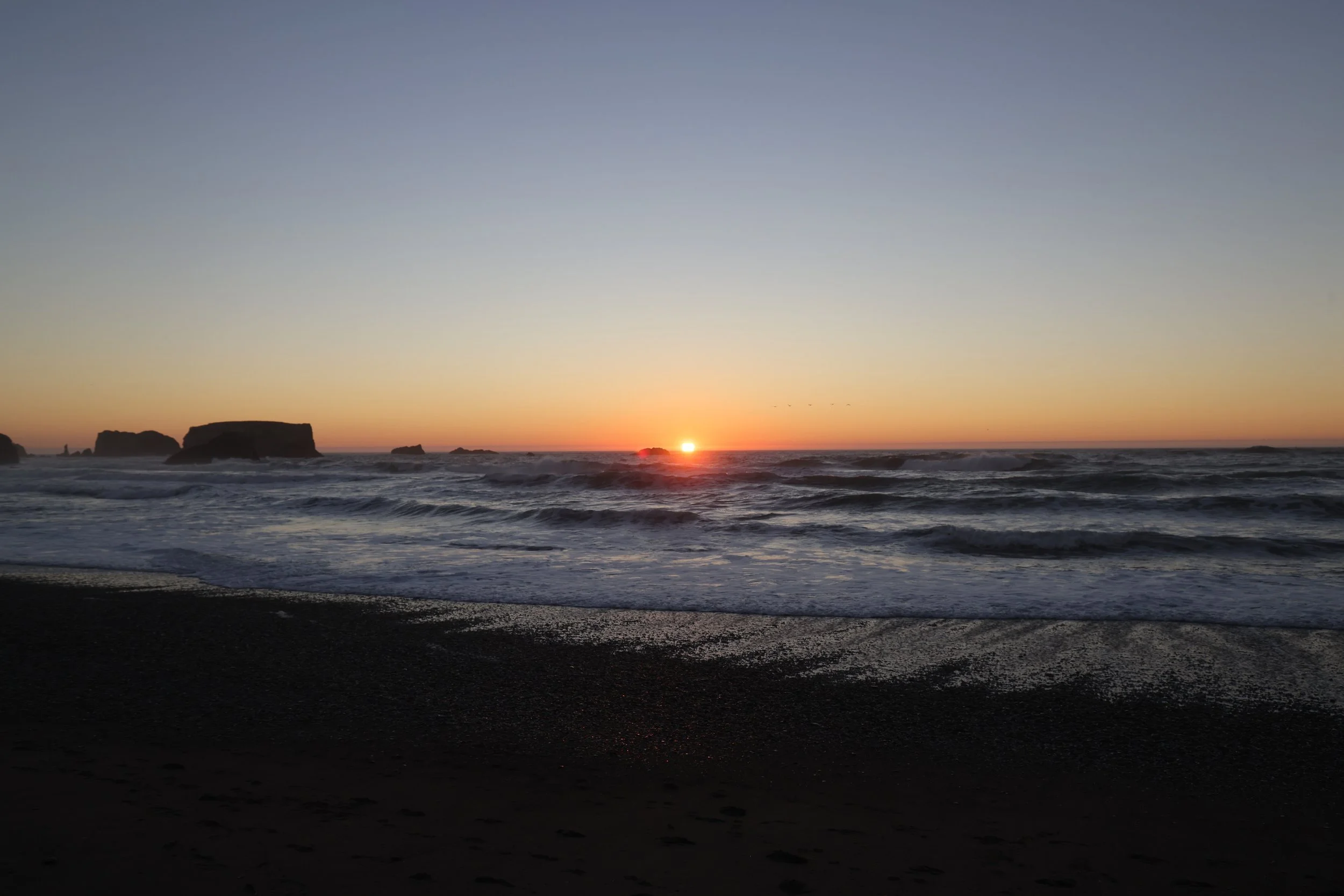 Glenn Alexakis_Ocean.jpeg