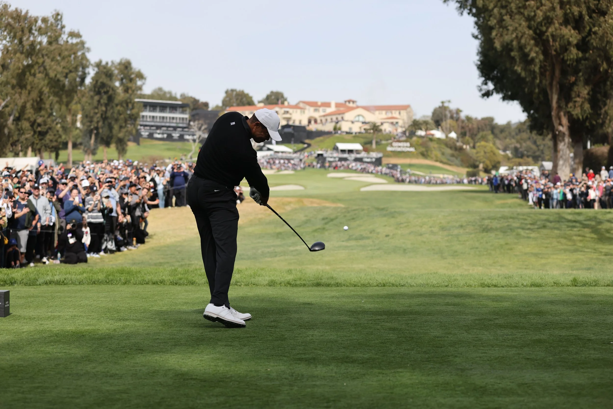 GlennAlexakis_Fri Tiger 7.jpg