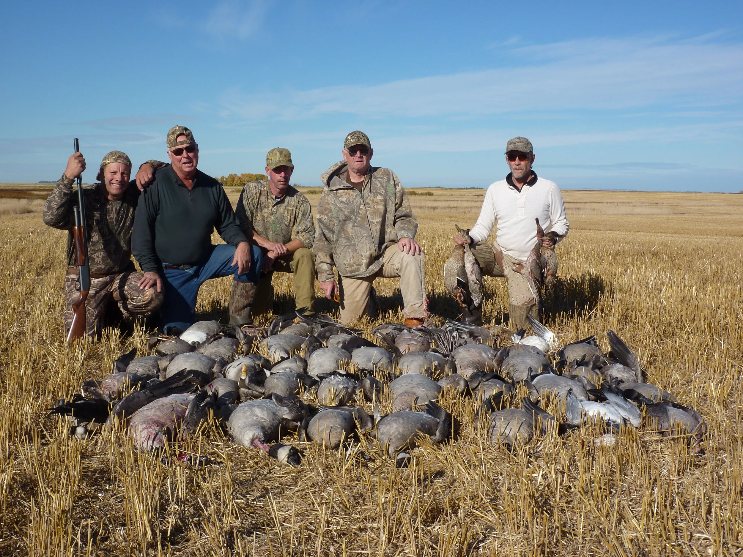 birds 2010 009.jpg