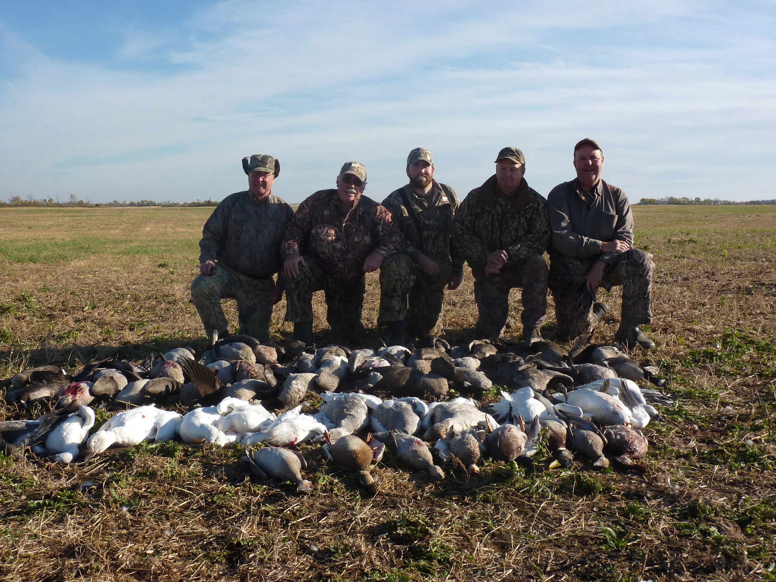 Geese 2011 011.jpg