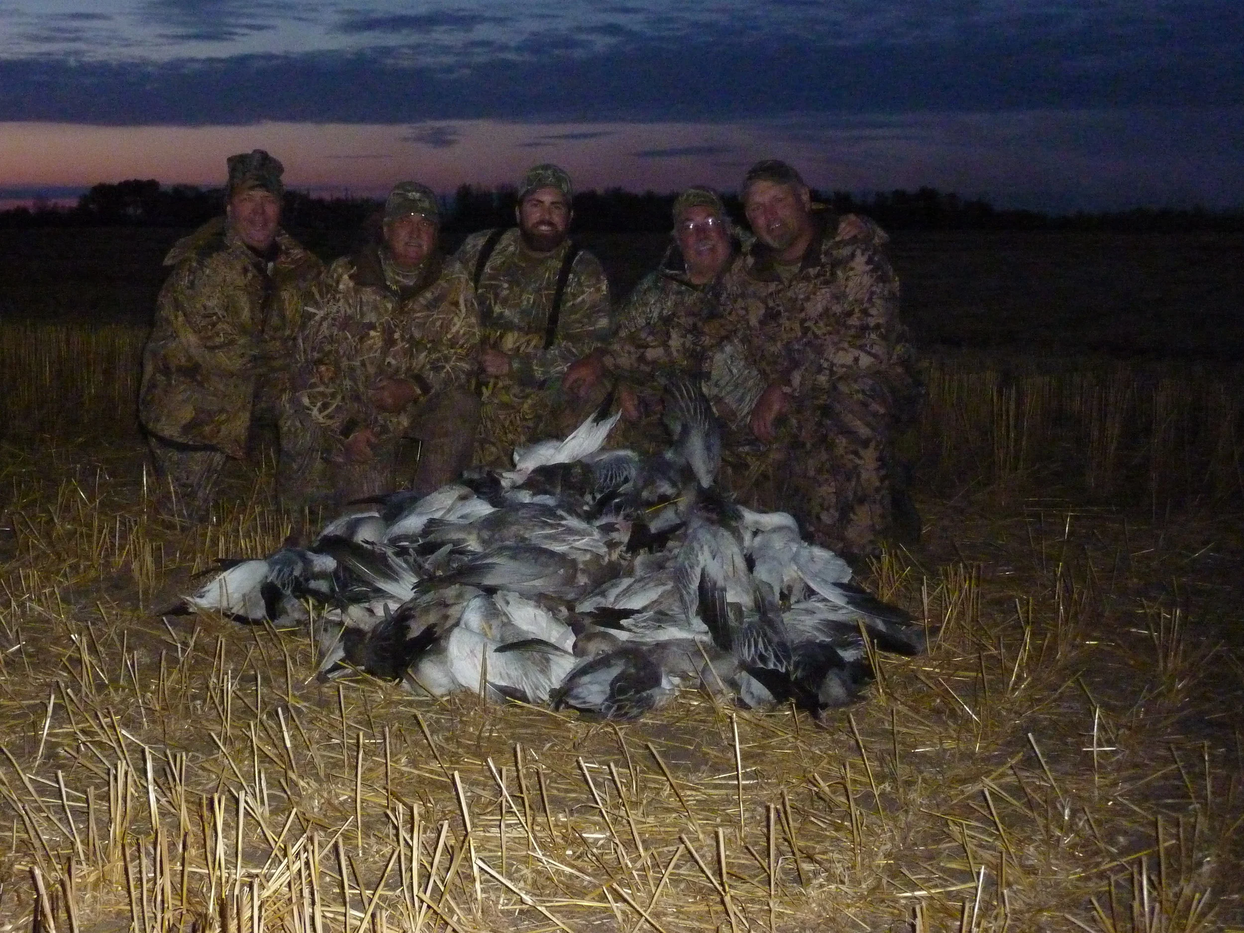 Geese 2011 016.jpg