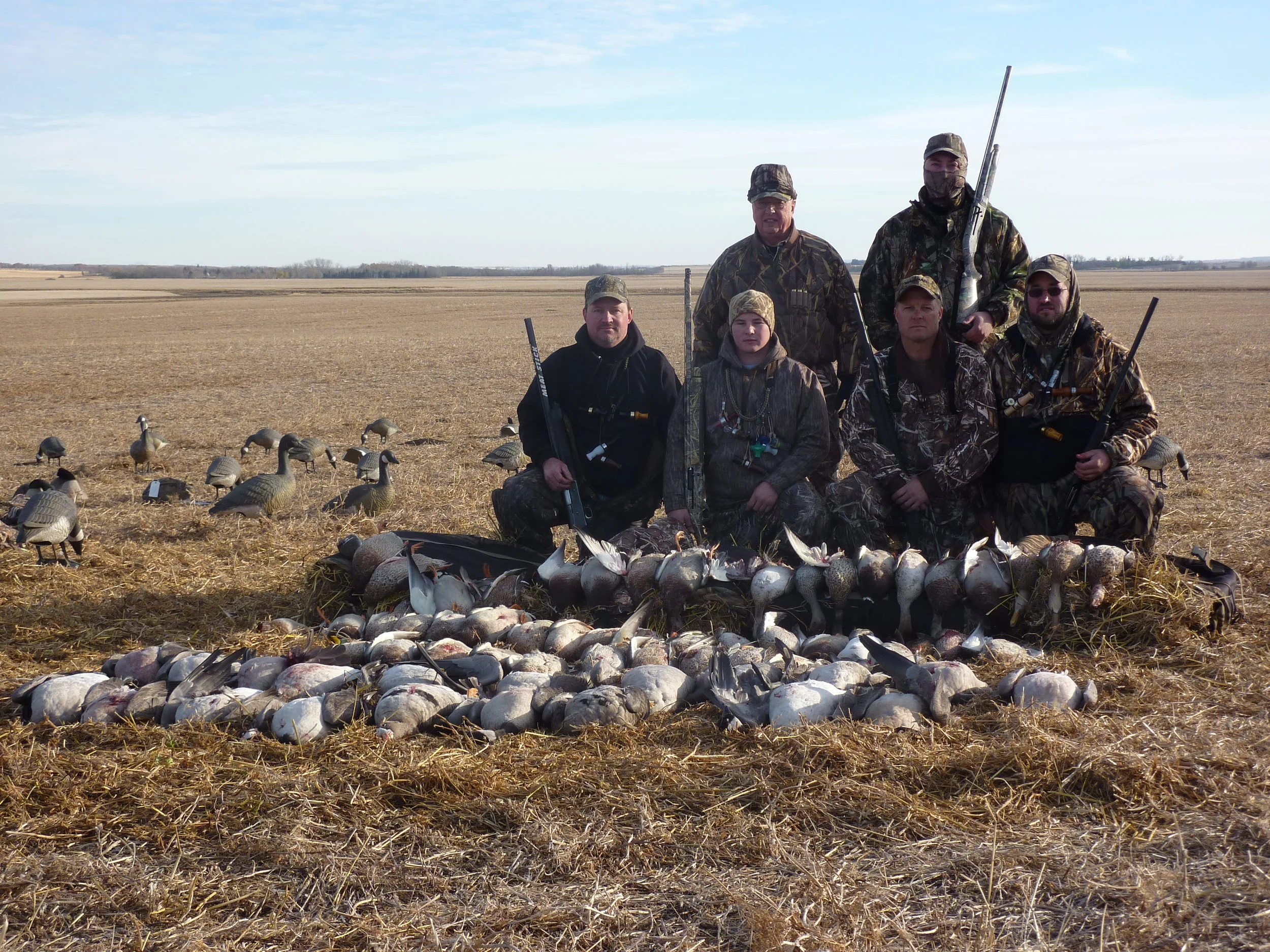 Geese 2011 026.jpg