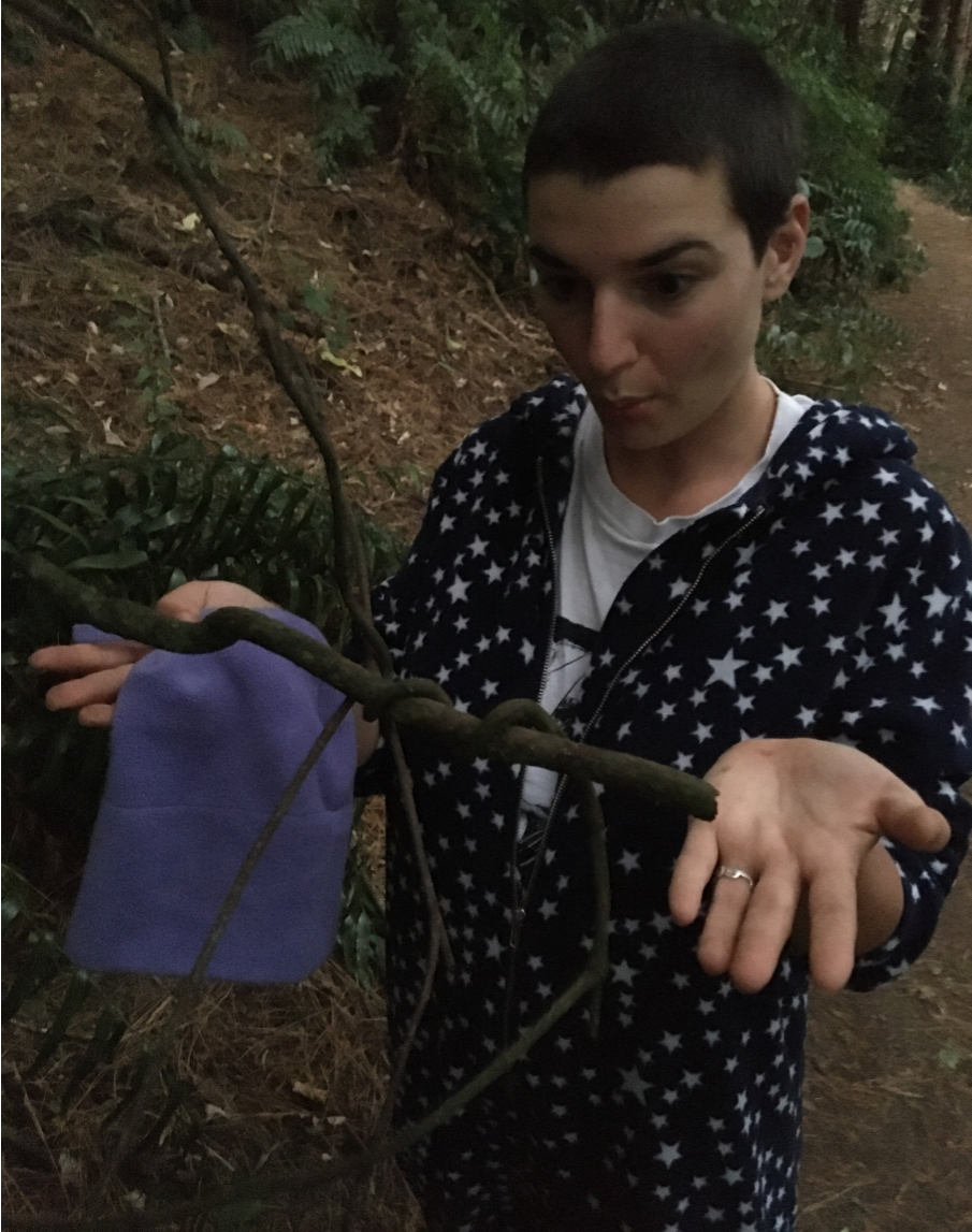twig.PNG