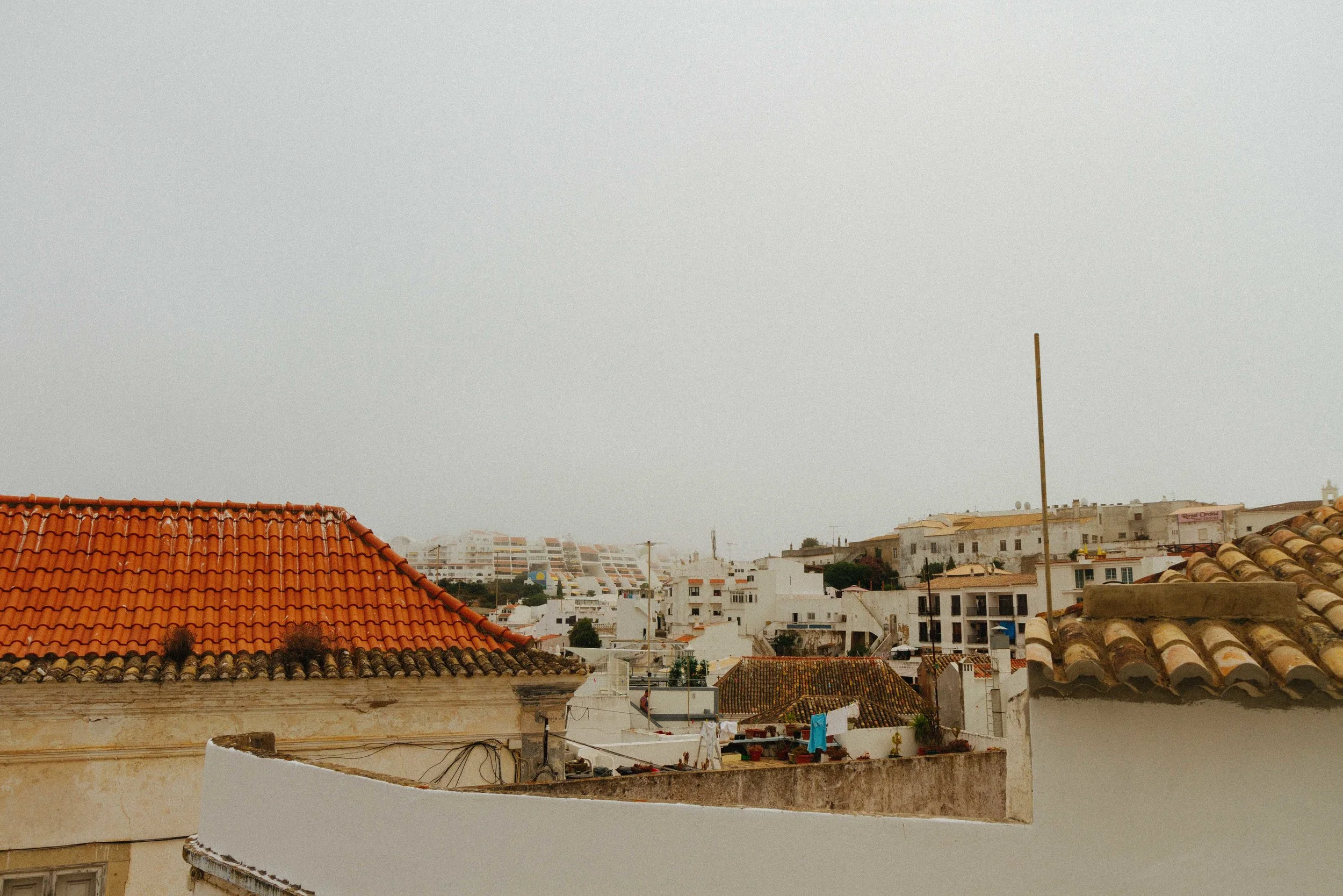 IMG_7920.jpg
