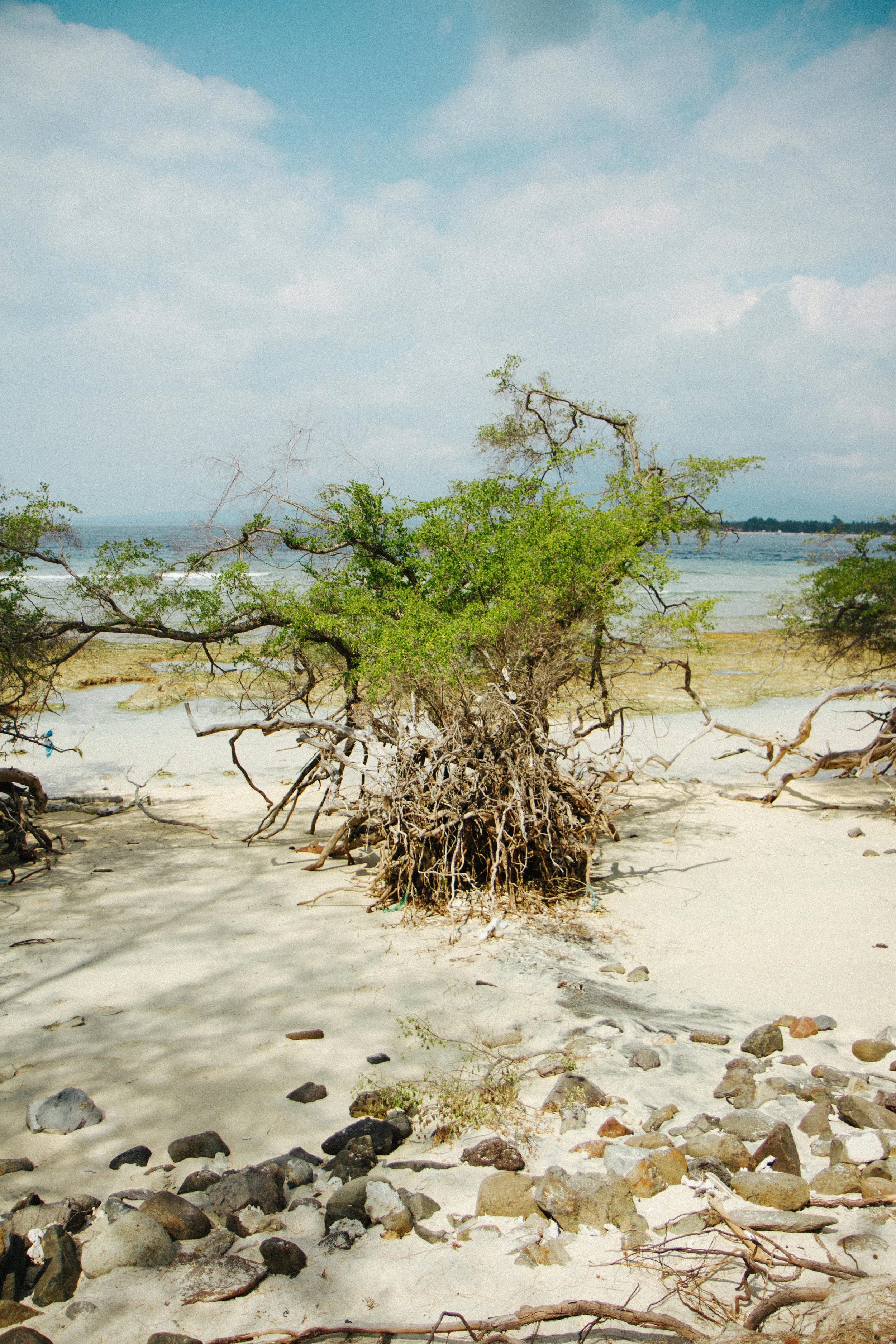 Bali2017-3311 - Kopie.jpg