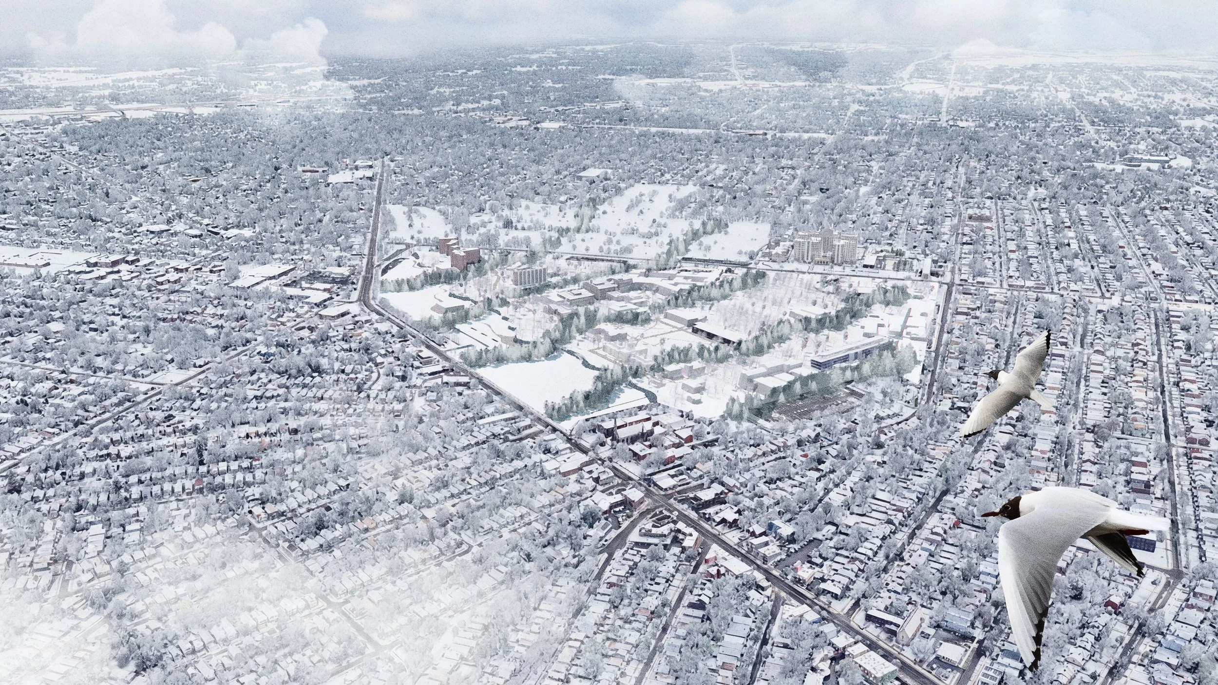 Birdseye Snow.jpg