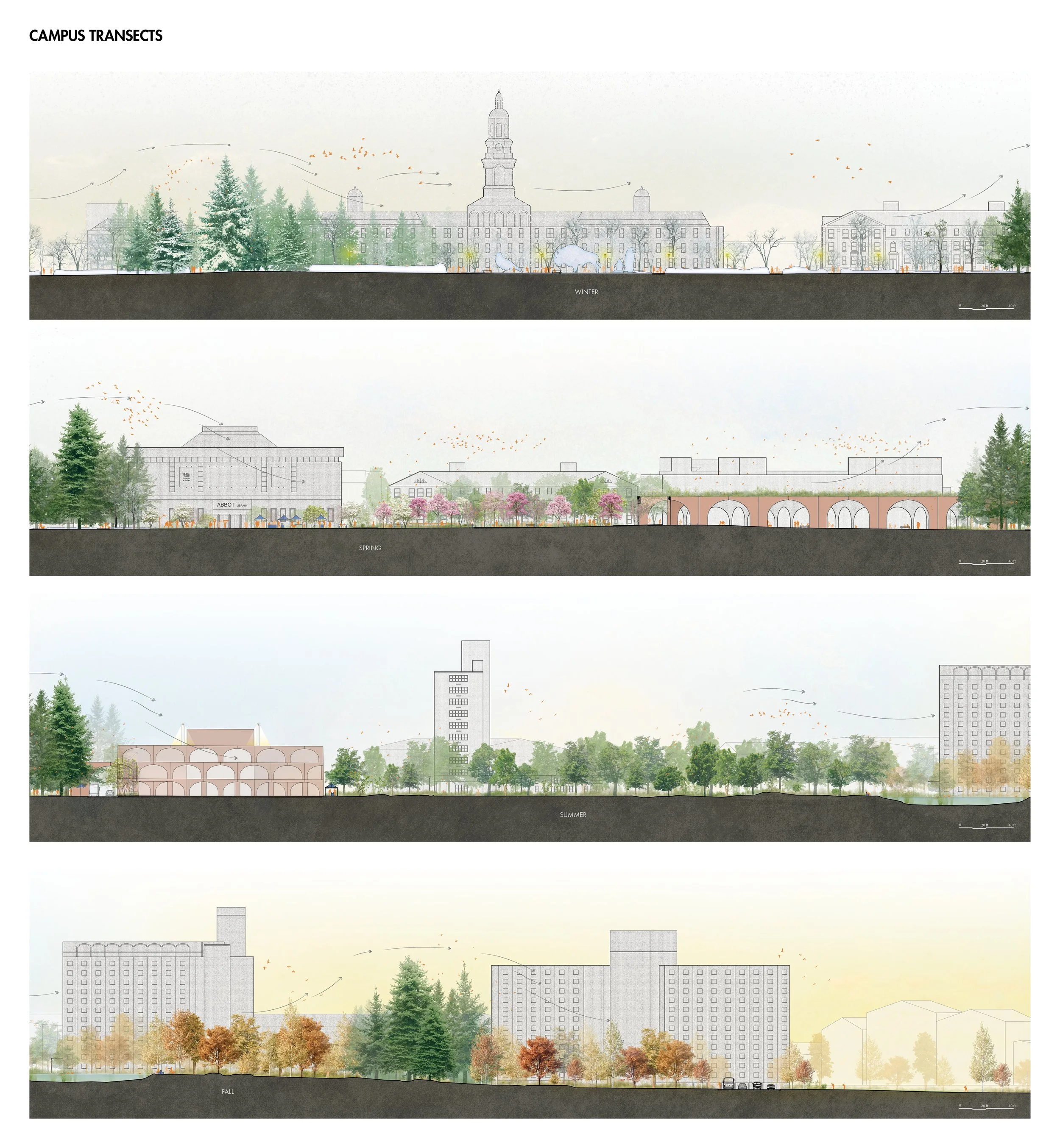 Campus transects_web.jpg