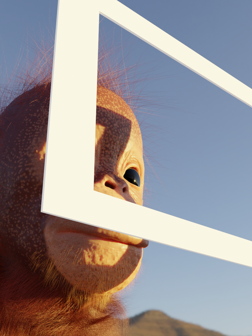 orangutan3.9.1.png