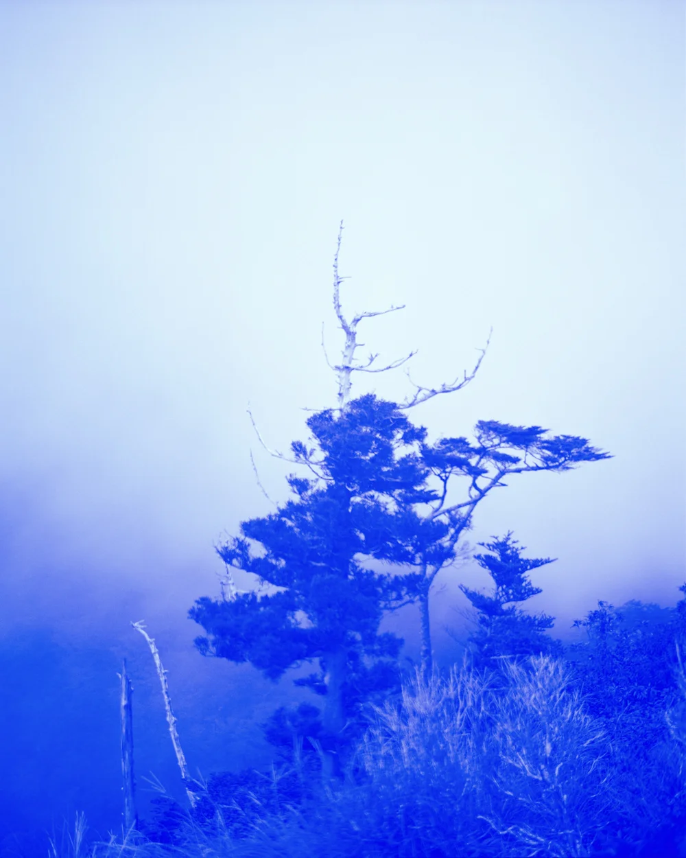 Alexander Mourant  – Aomori