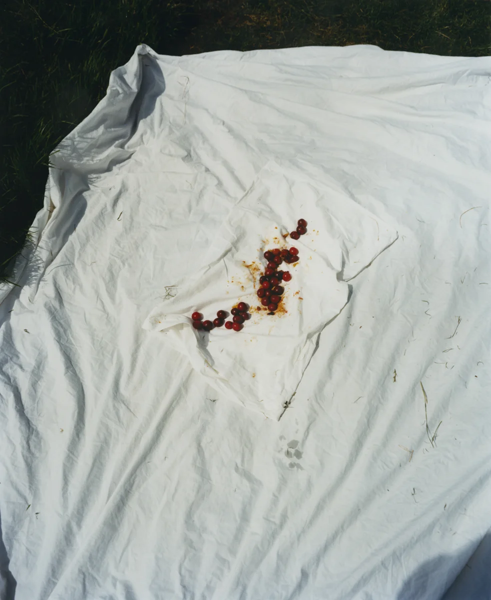 Plums.jpg