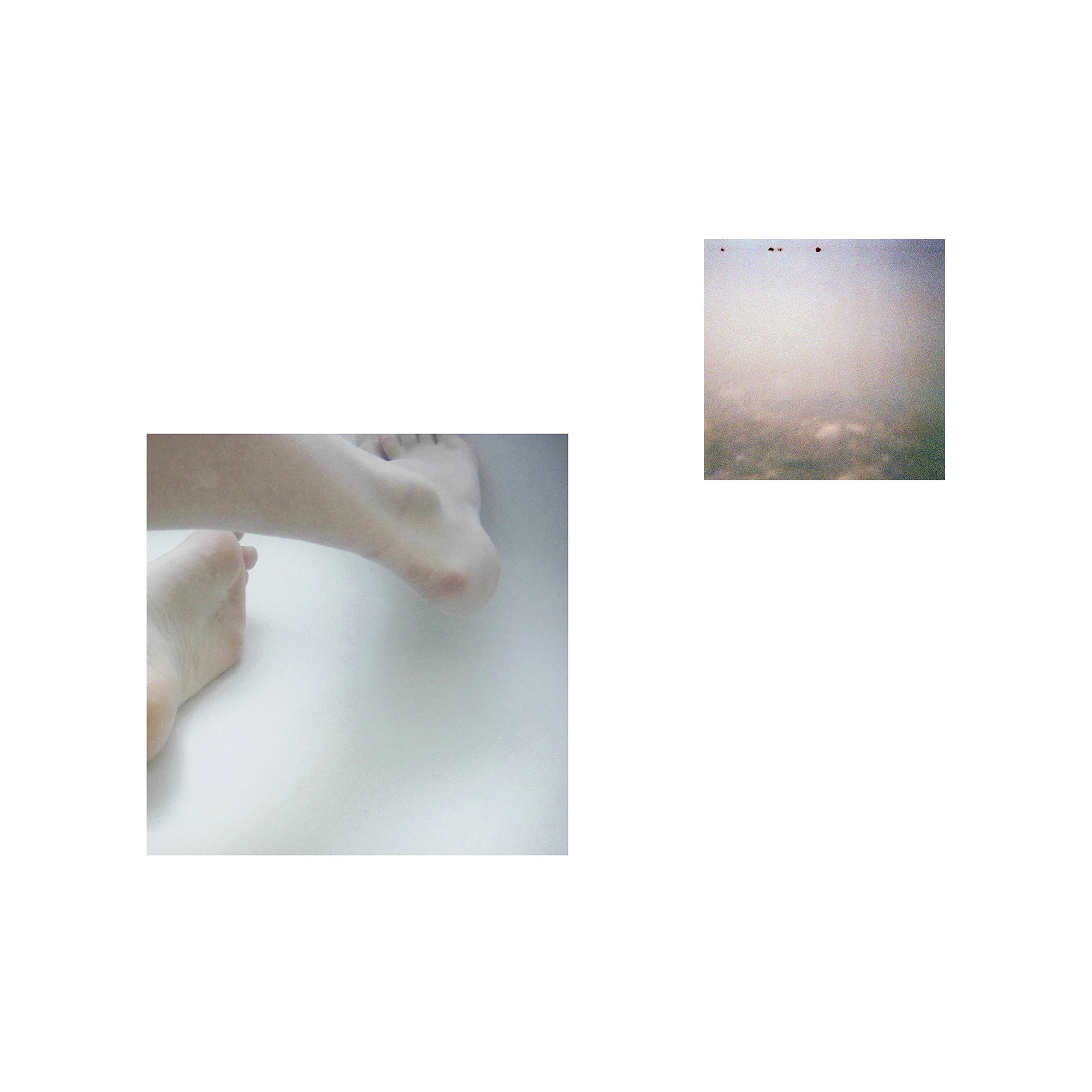 Pair17.jpg