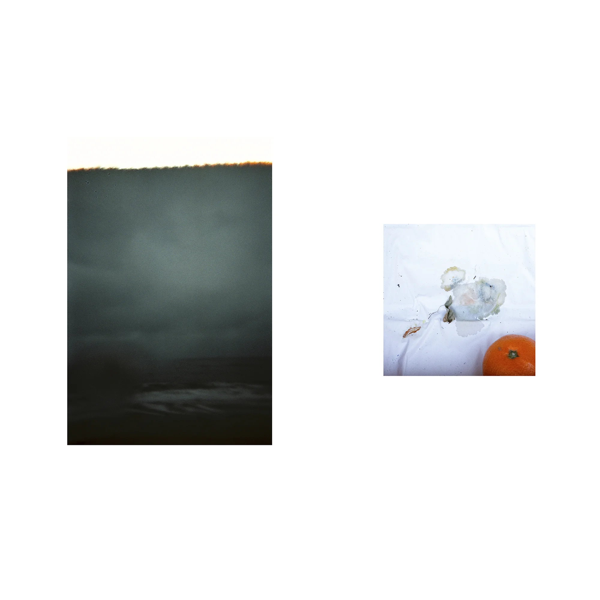Pair2.jpg