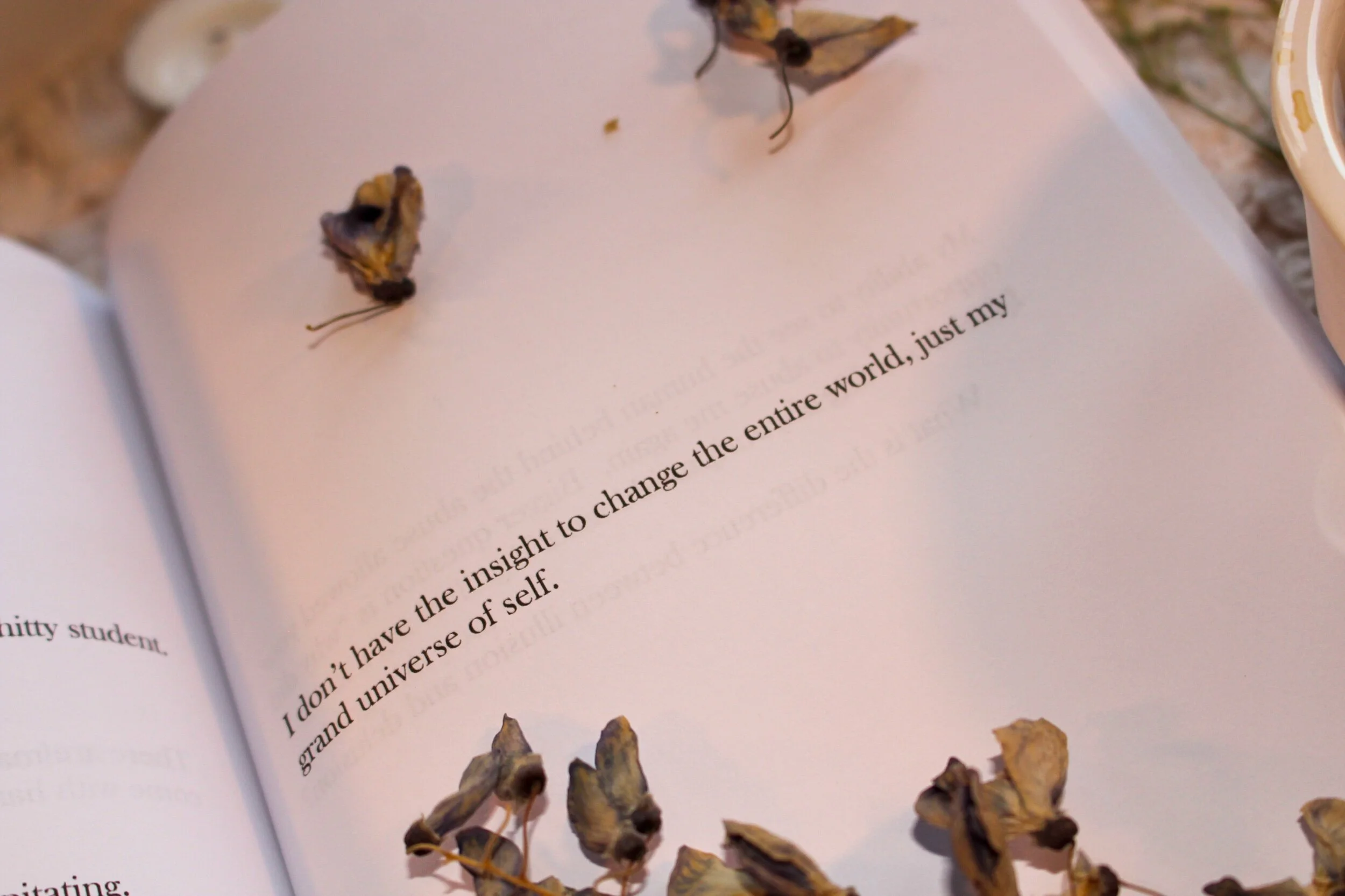 73B8851D-3E55-4B22-9F70-B7B47D15AC79