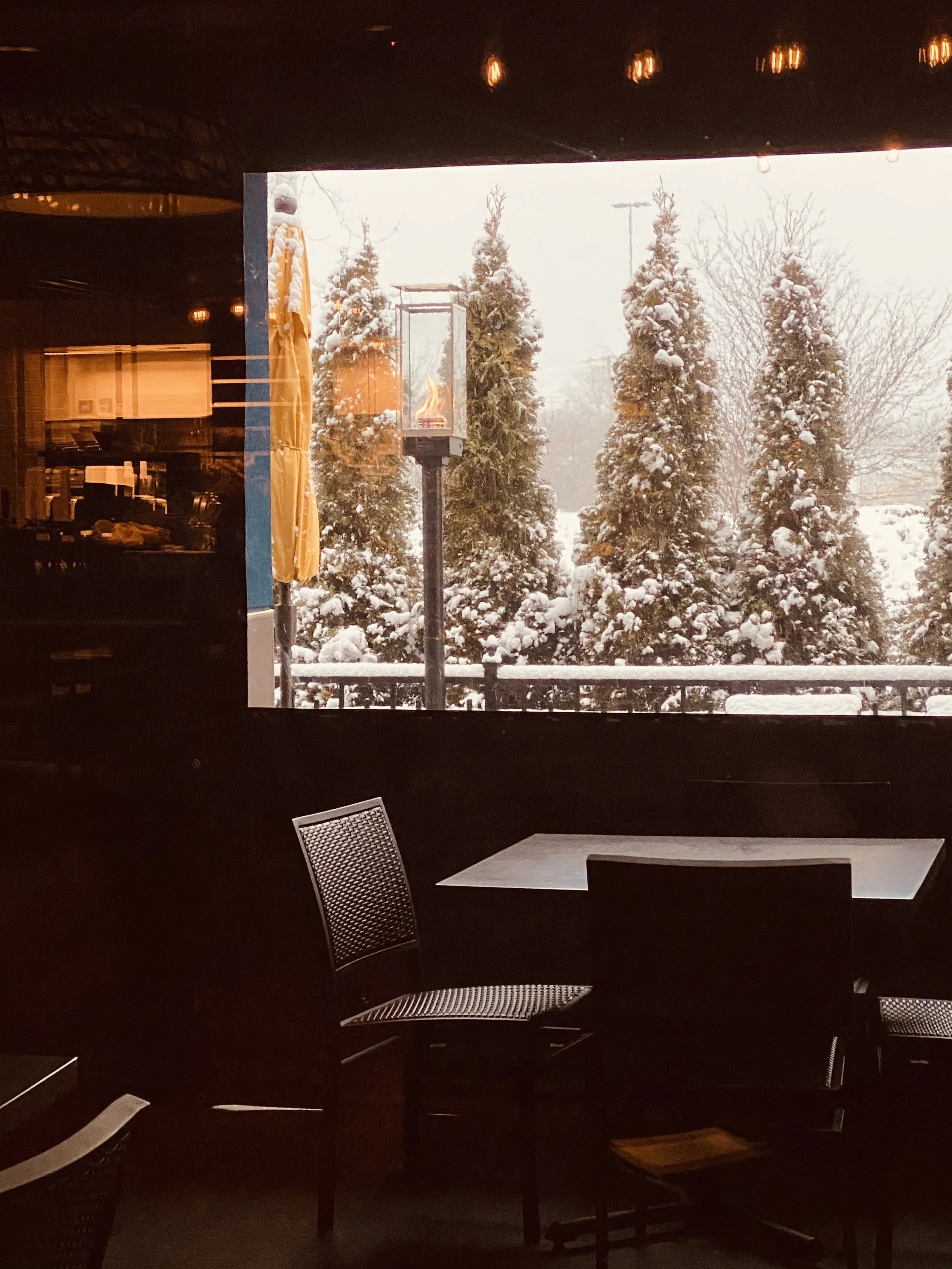 THE SILLY WHITE CHRISTMAS