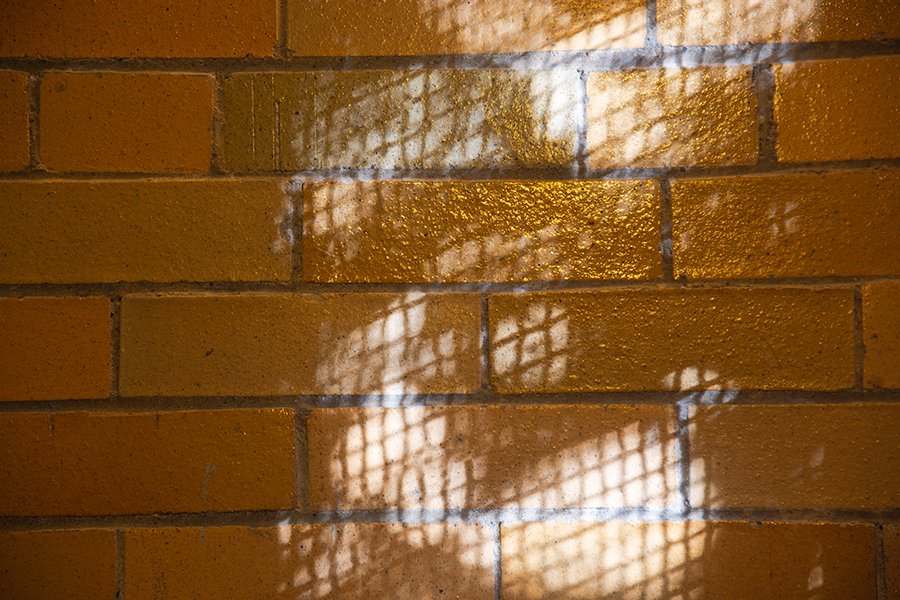 The Wall