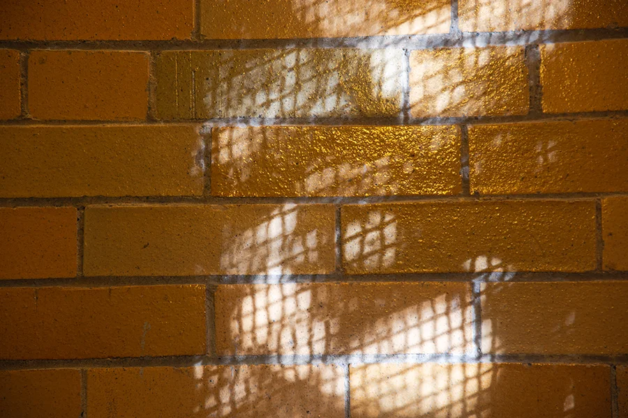 The Wall