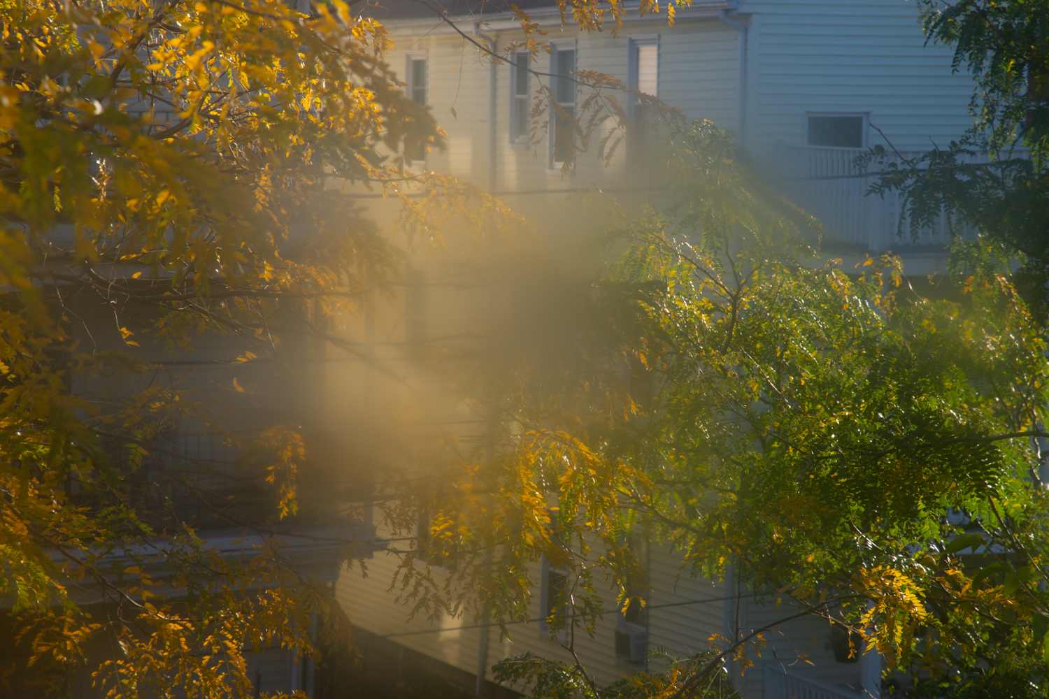 Neighborhood
