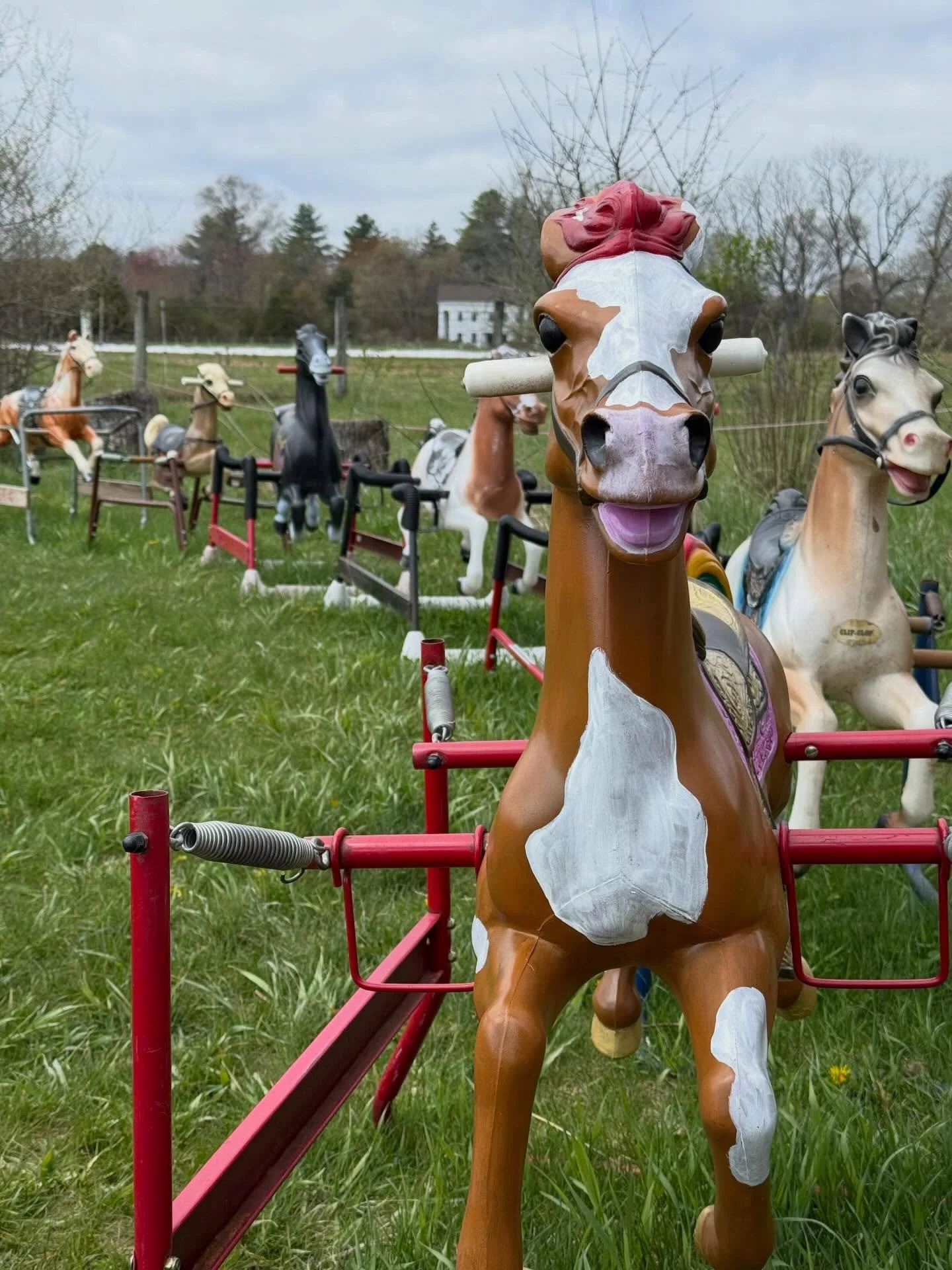 Comings and goings at Ponyhenge Lincoln today after hiking Ogillvie Forest. @ponyhengelincoln @ccace01742