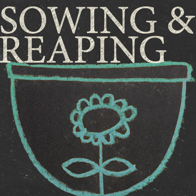 sowing and reaping