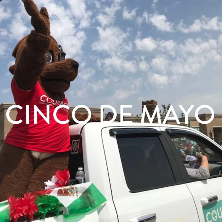 Cinco De Mayo