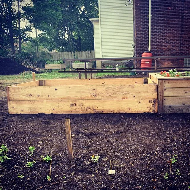 We got rained out but bed no.2 is complete, the rain barrels are overflowing, the dahlias are happy, and the weeds have been dominated! Grow garden grow! 
Three weeks until we host our first meal!

#detroitcourage #urbangardening