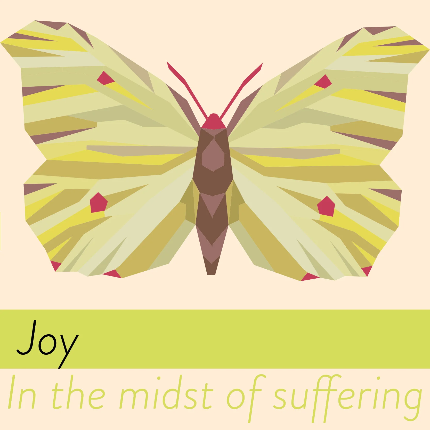 Joy in the midst of Suffering