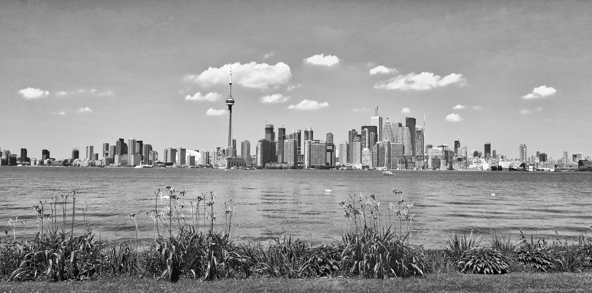 pexels-photo-457937 BW.jpg