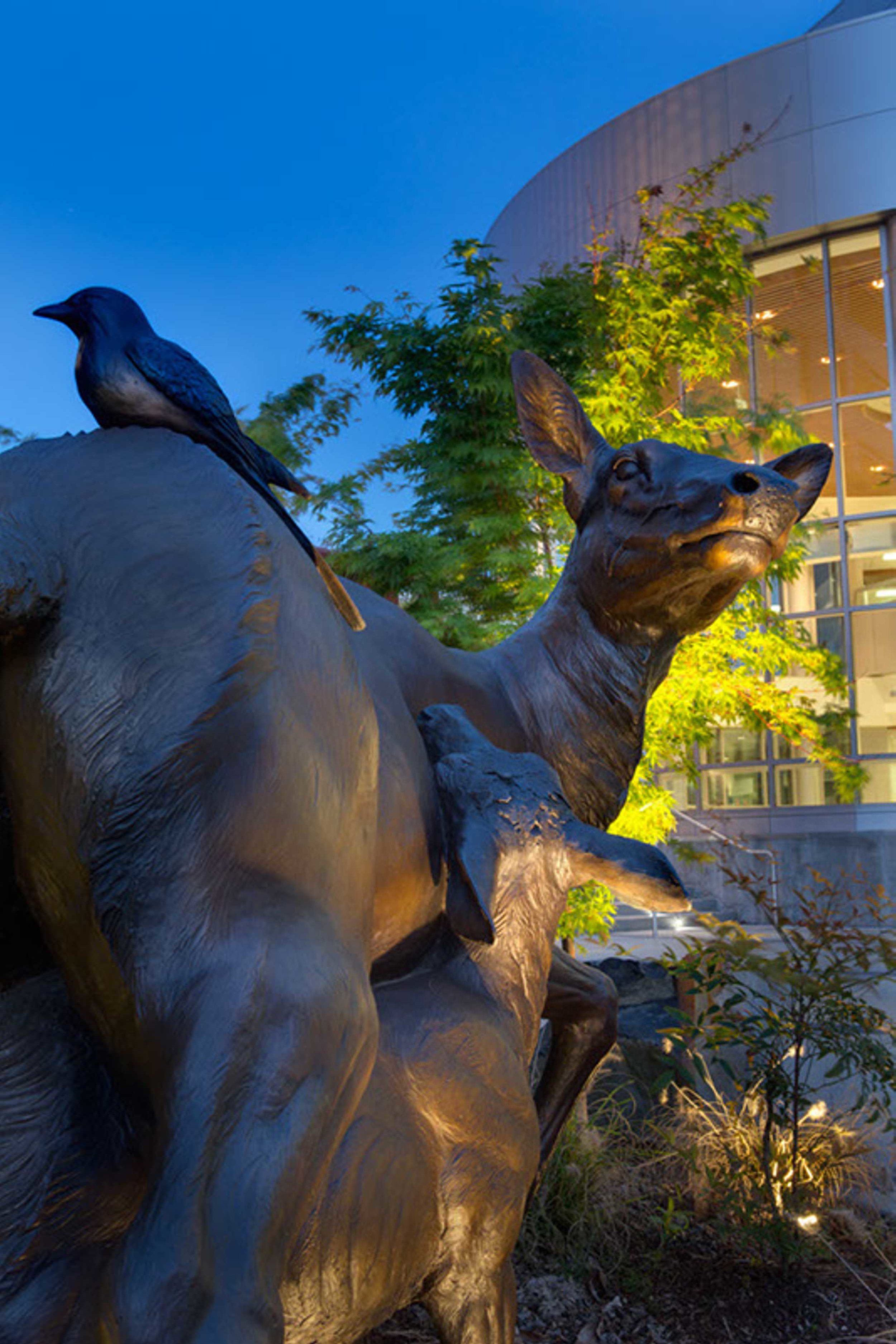 Kaiser Westside Hospital Bronze Sculpture Exterior Art