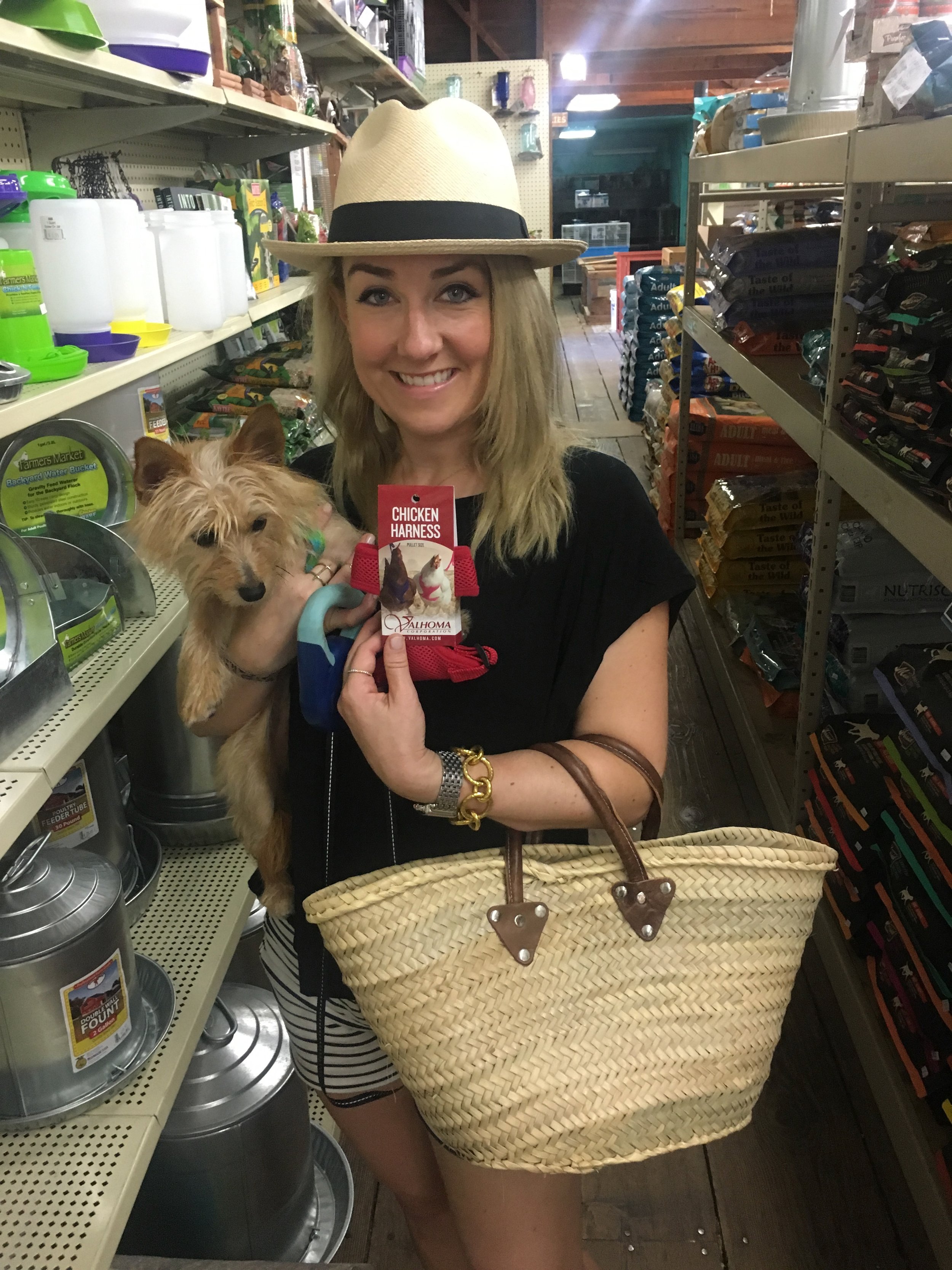 A stop at Wachter Hay &amp; Grain, where you can buy pet supplies, including chicken harnesses...