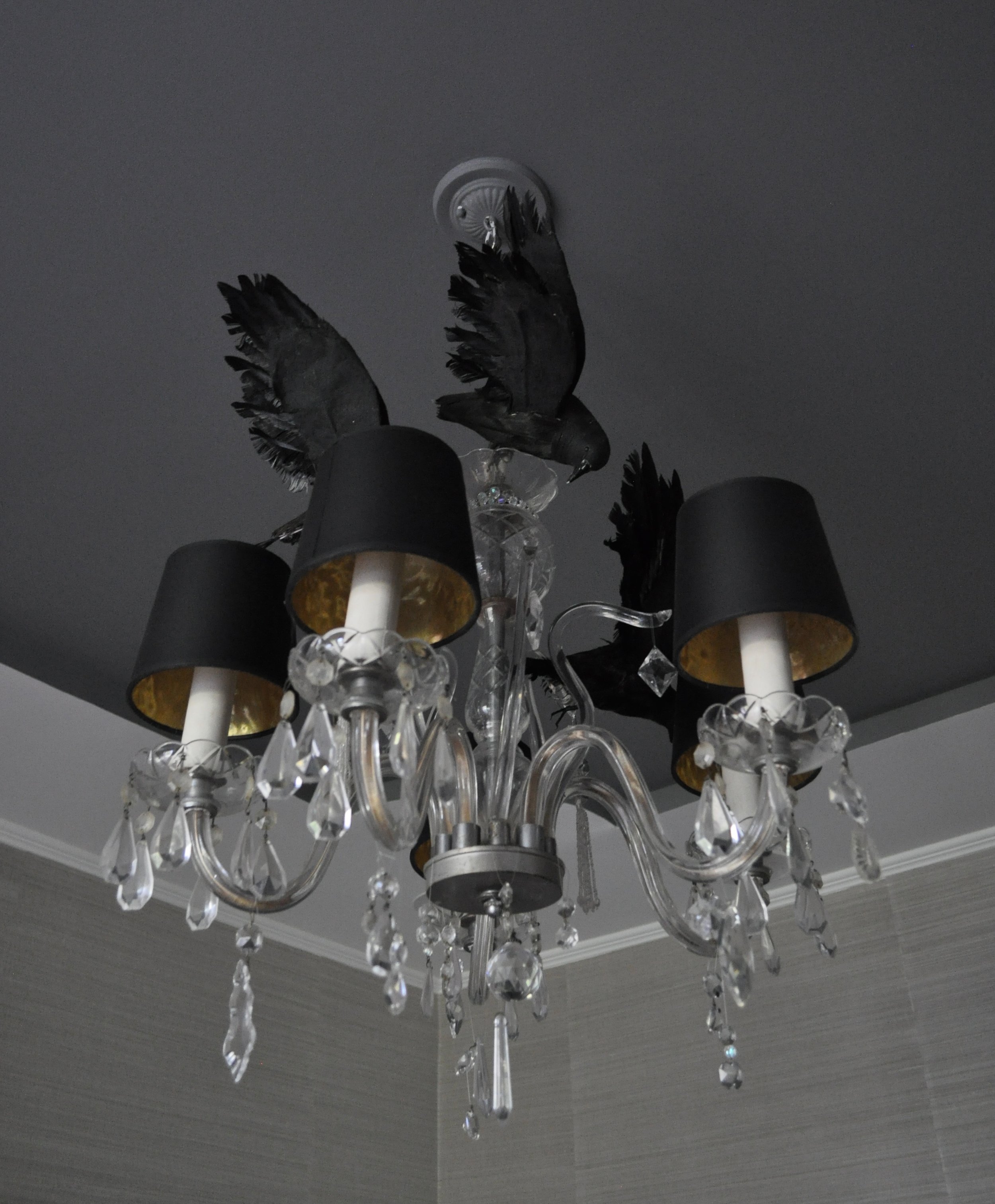 Crows circling the chandelier