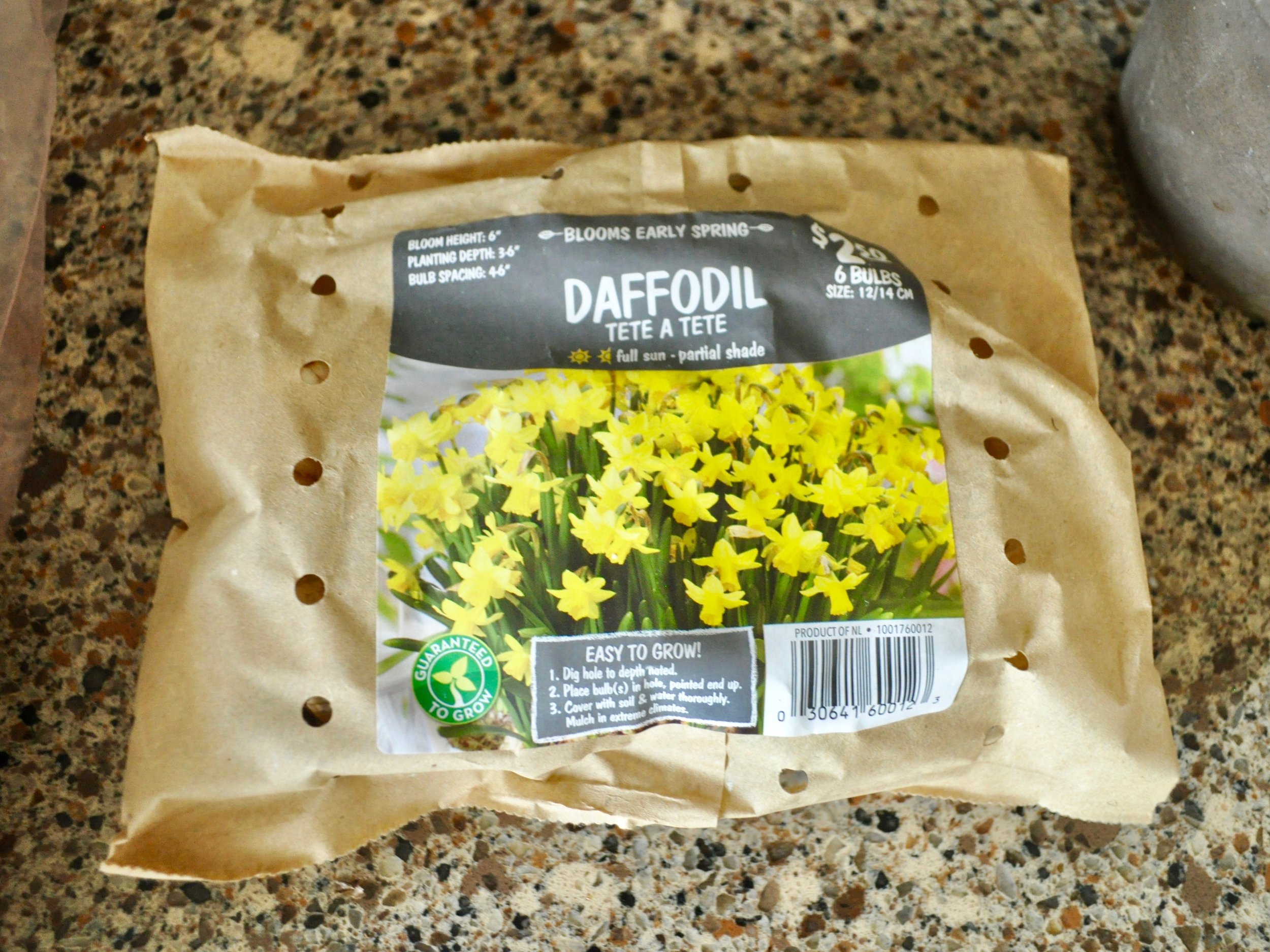 A Blooming Daffodil Basket | @beesandbubbles