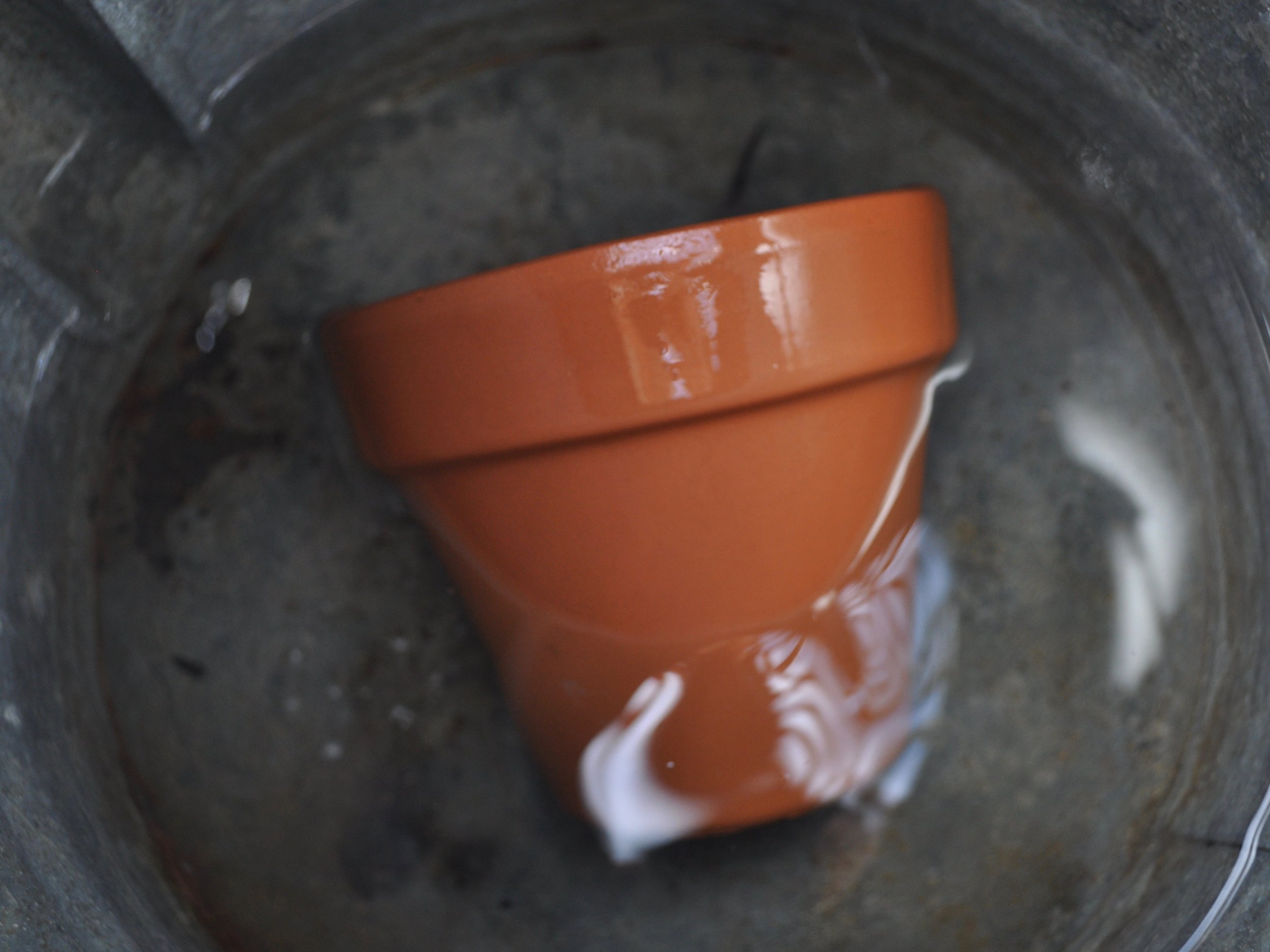 Aging Terracotta Pots | @beesandbubbles