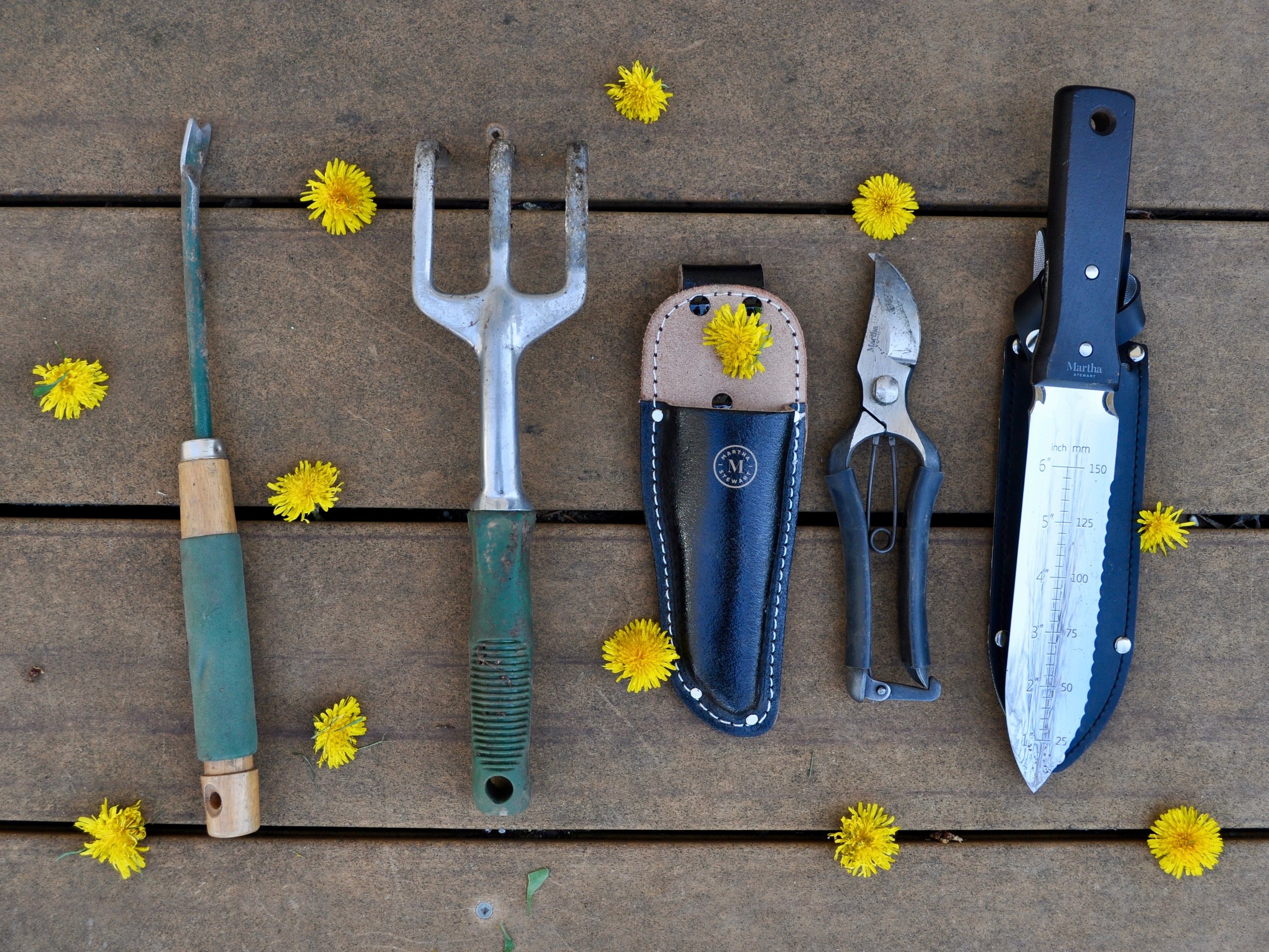 4 Gardening Tools You Need | @beesandbubbles