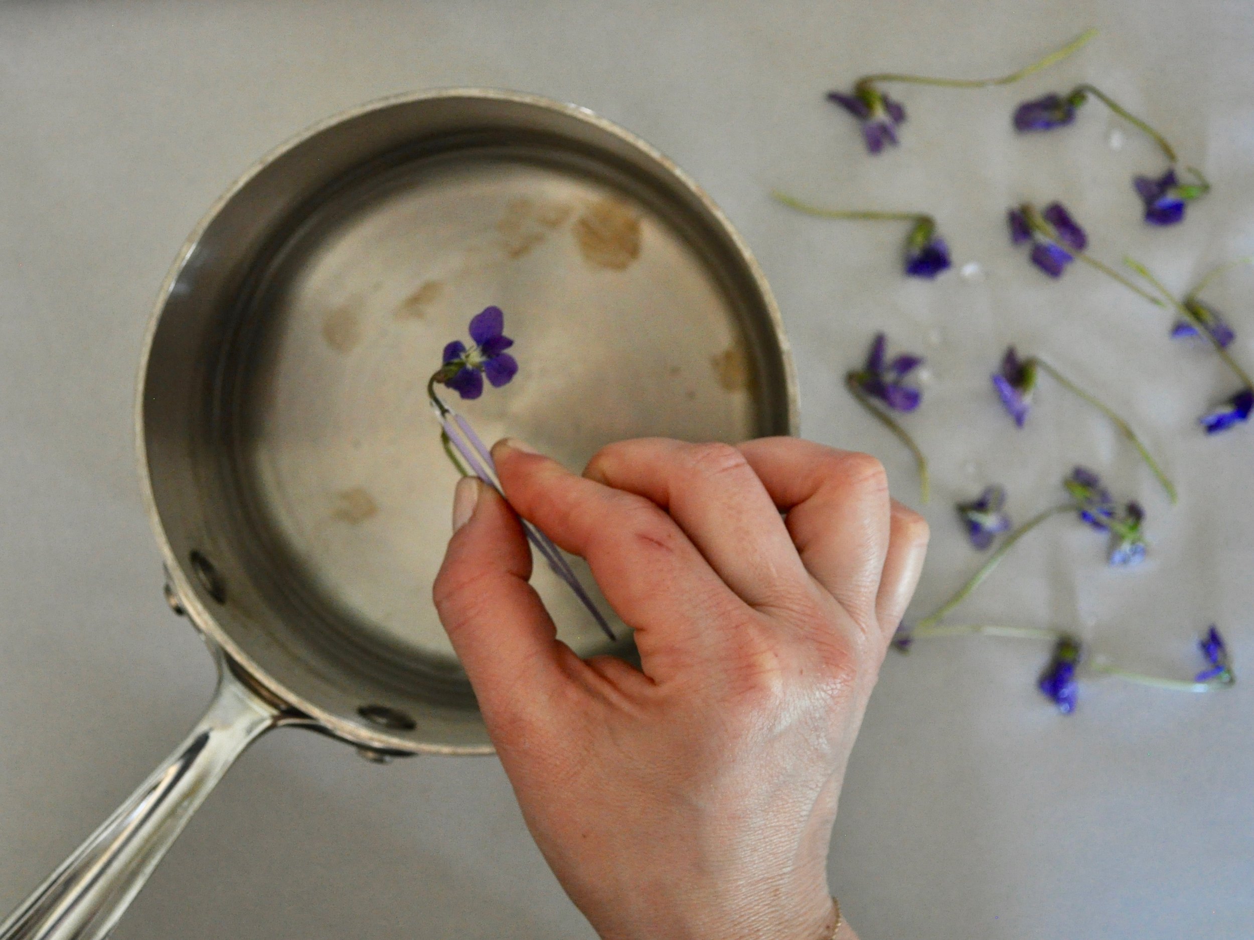 Candied Violets | @beesandbubbles