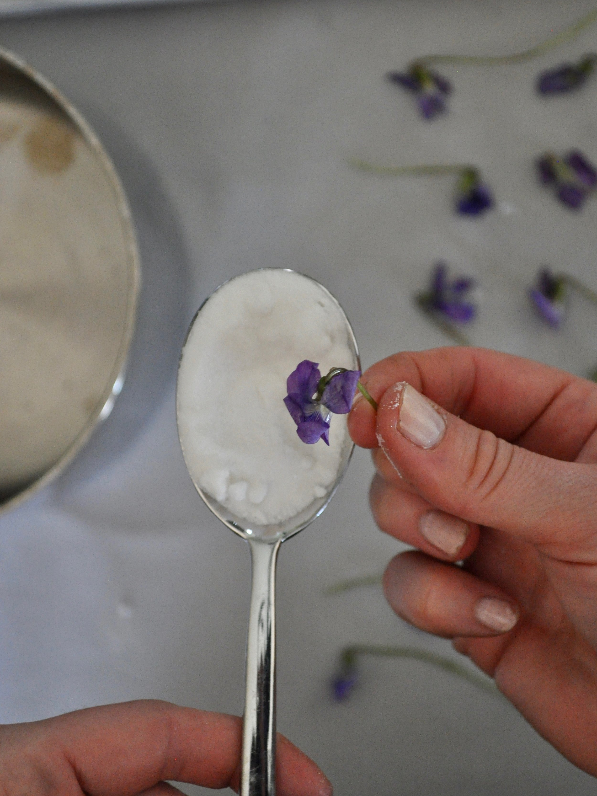 Candied Violets | @beesandbubbles