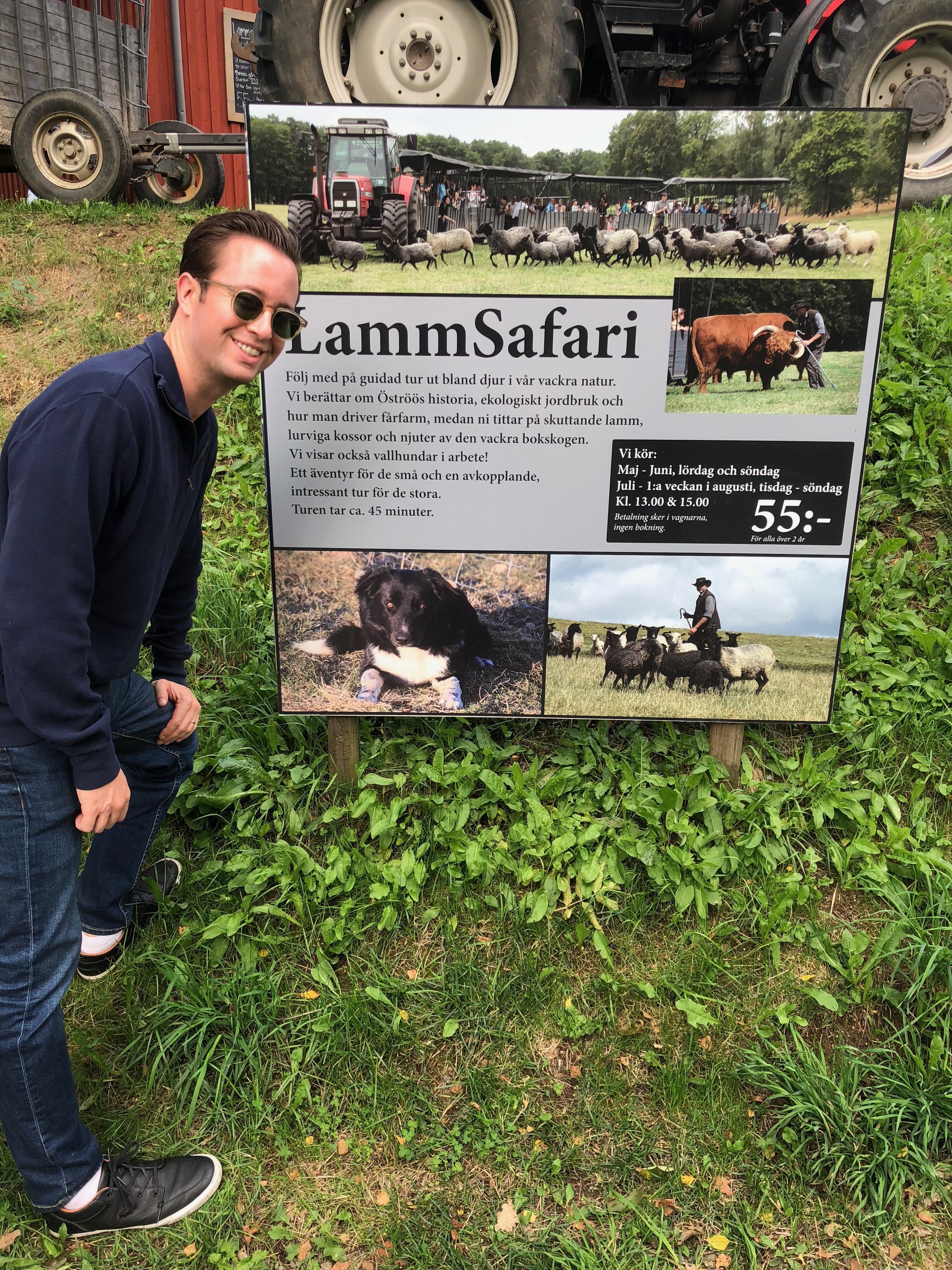 At the farm, you can hop on a lamb safari
