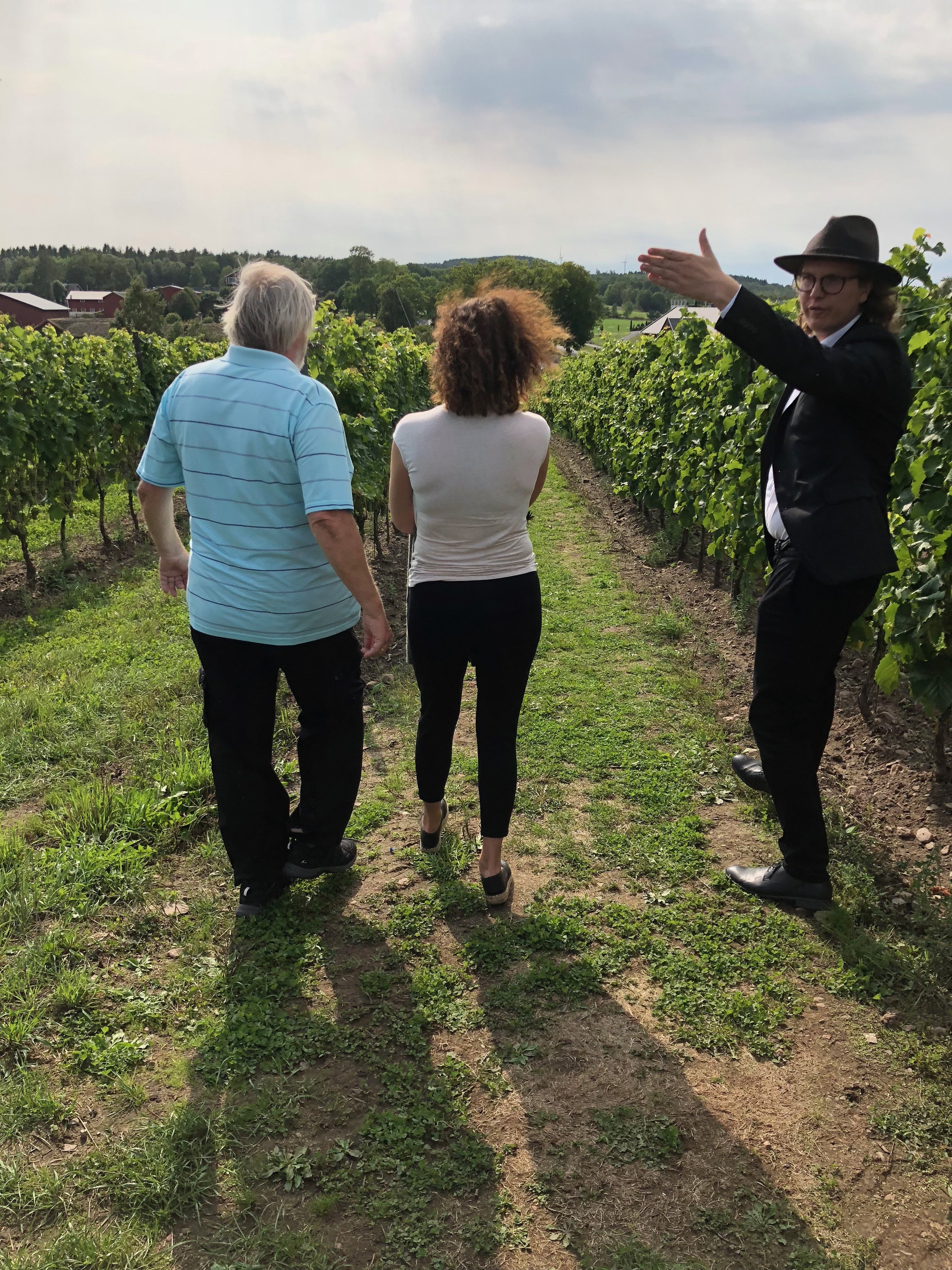 Touring the vineyard, just a couple of weeks before harvest