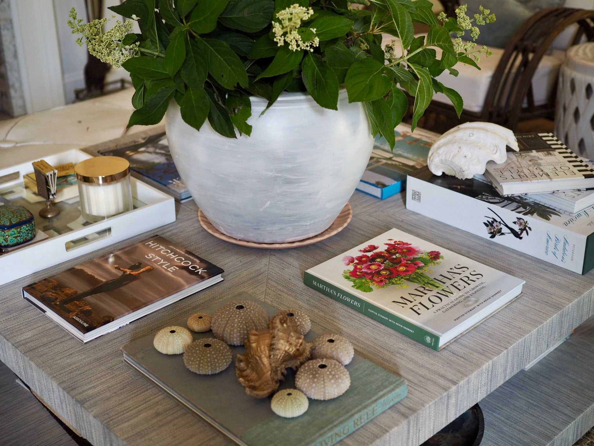 My Favorite Coffee Table Books (That I Actually Read) | @beesandbubbles