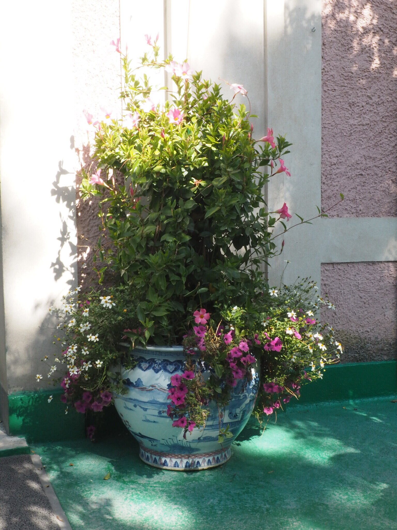 I loved this blue-and-white container planting on the terrace