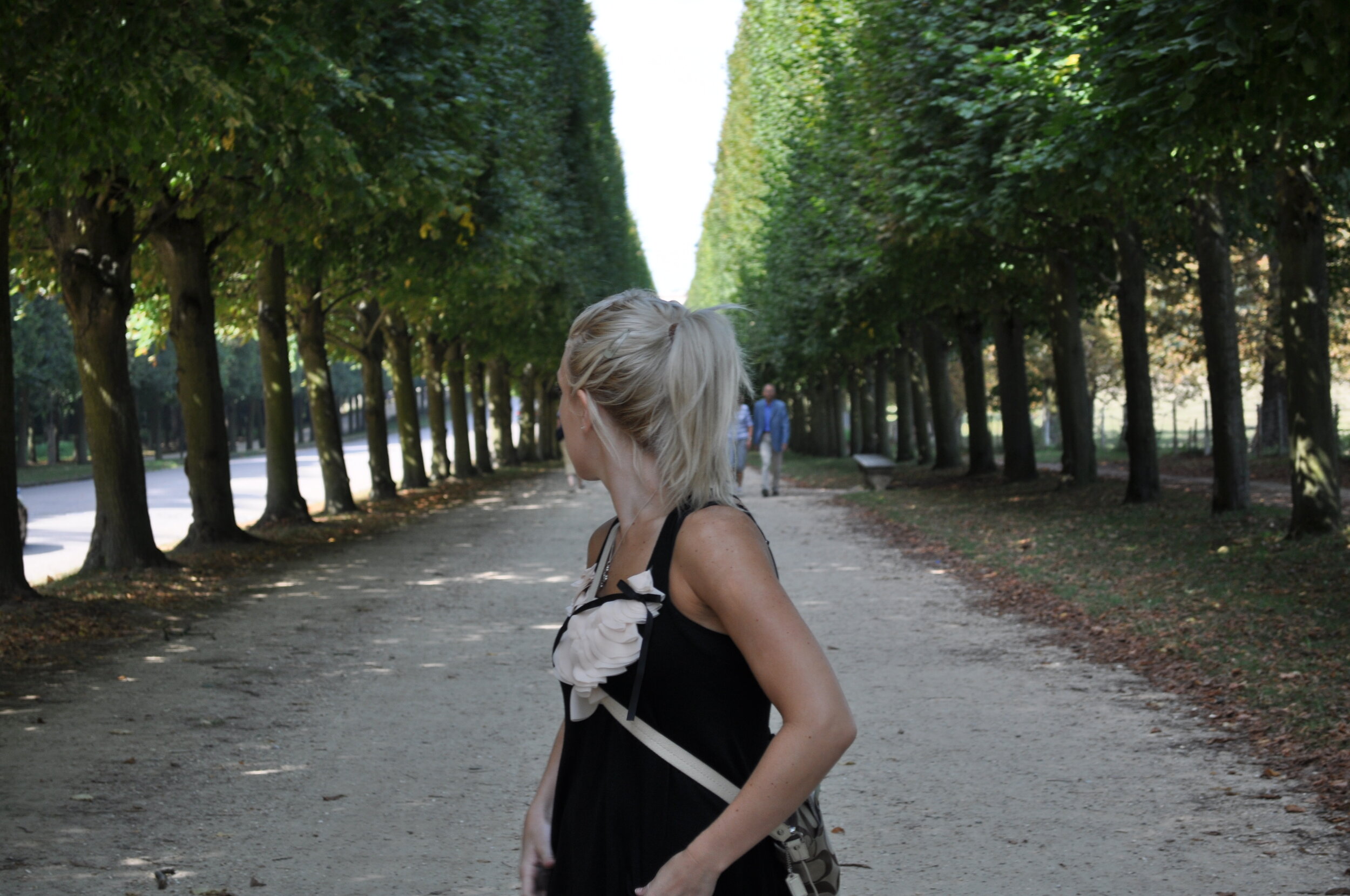 Stunning allées of trees at Versailles