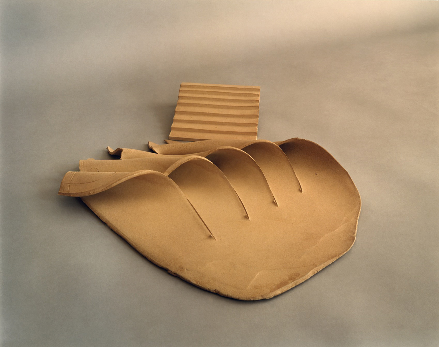 #5; 17" x 22" x 4" Clay, 1981
