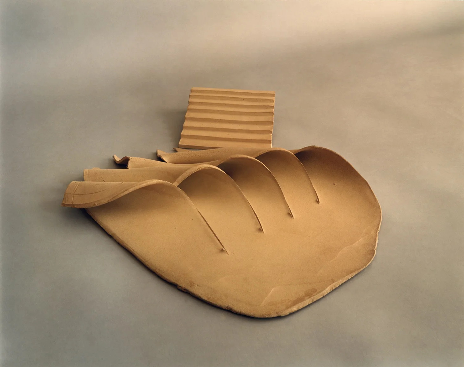 #5; 17" x 22" x 4" Clay, 1981