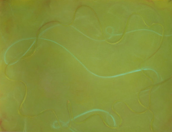 Woven Strands , 19 x 25 inches, Pastel on Paper, 2007