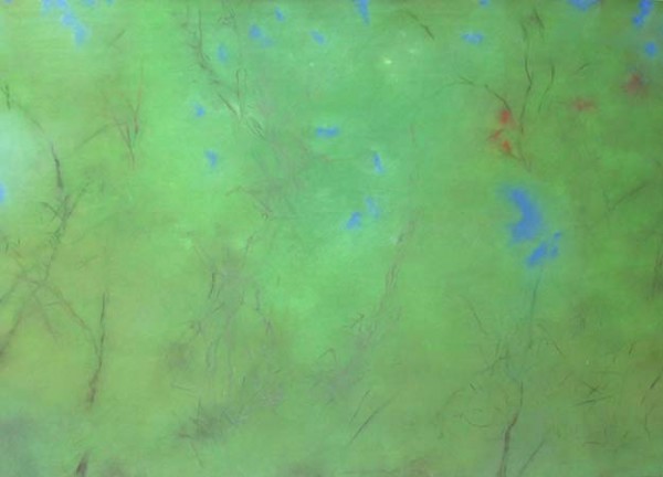 Sky Jewels , 38x27 inches, pastel on paper, 2003